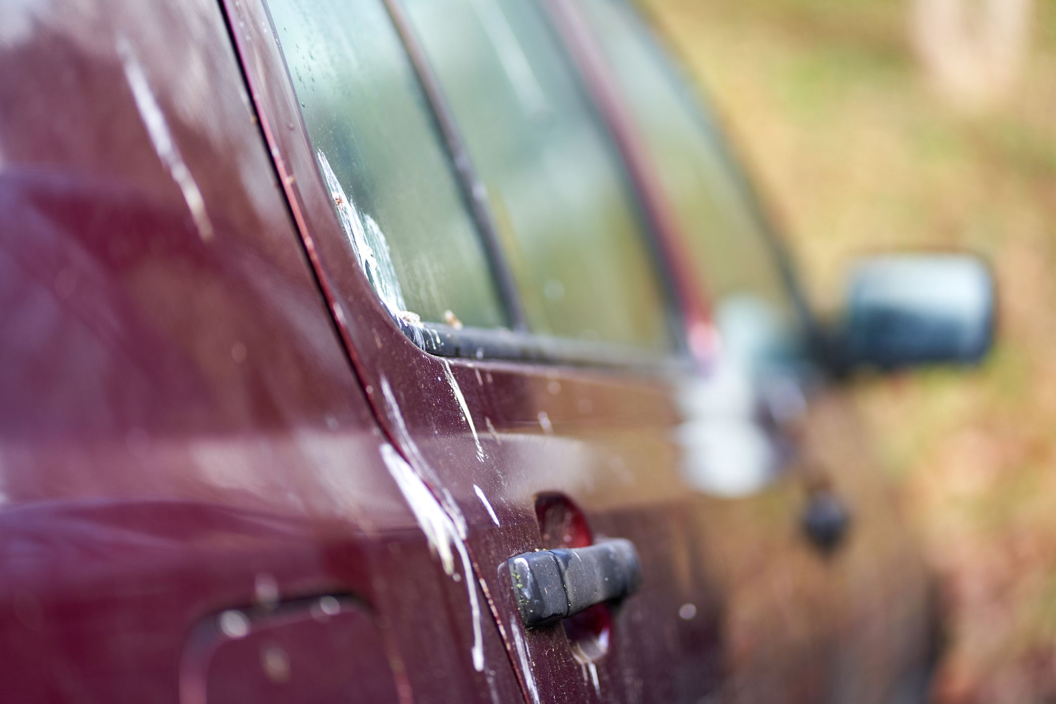 Bird droppings (Vogelkot) on vehicle. Feces from animals cause damage to the paint on the car. Contaminated Vehicle door.