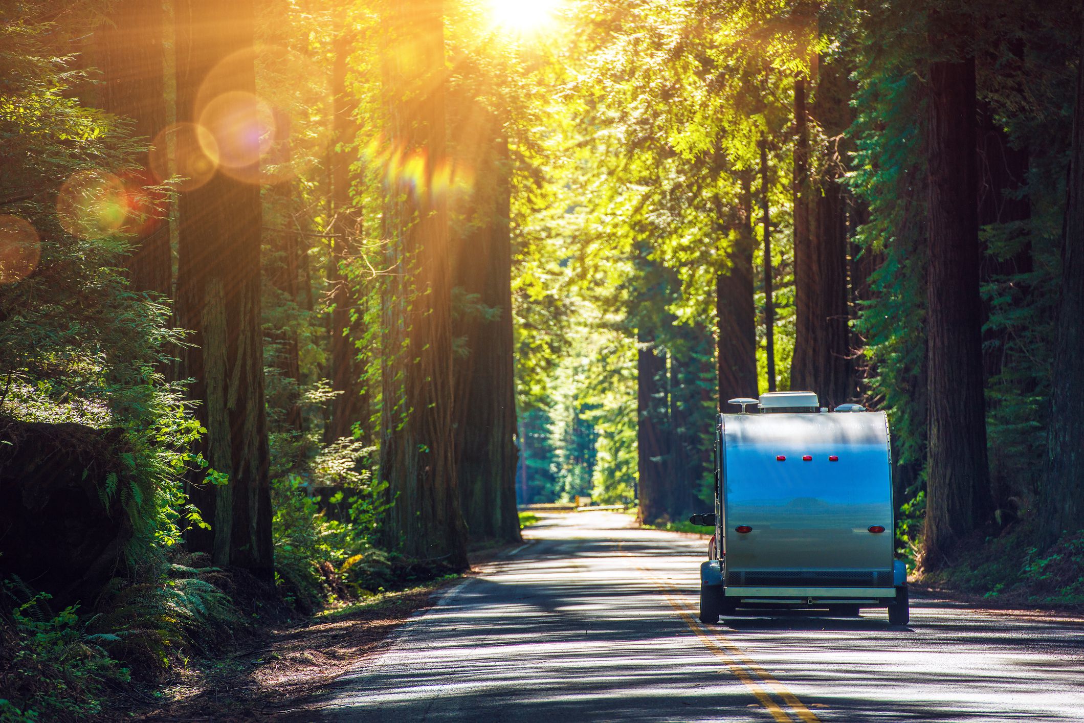 Camping in Redwoods. Travel Trailer RV on the Redwood Highway. California RVing. Camper on the Road.