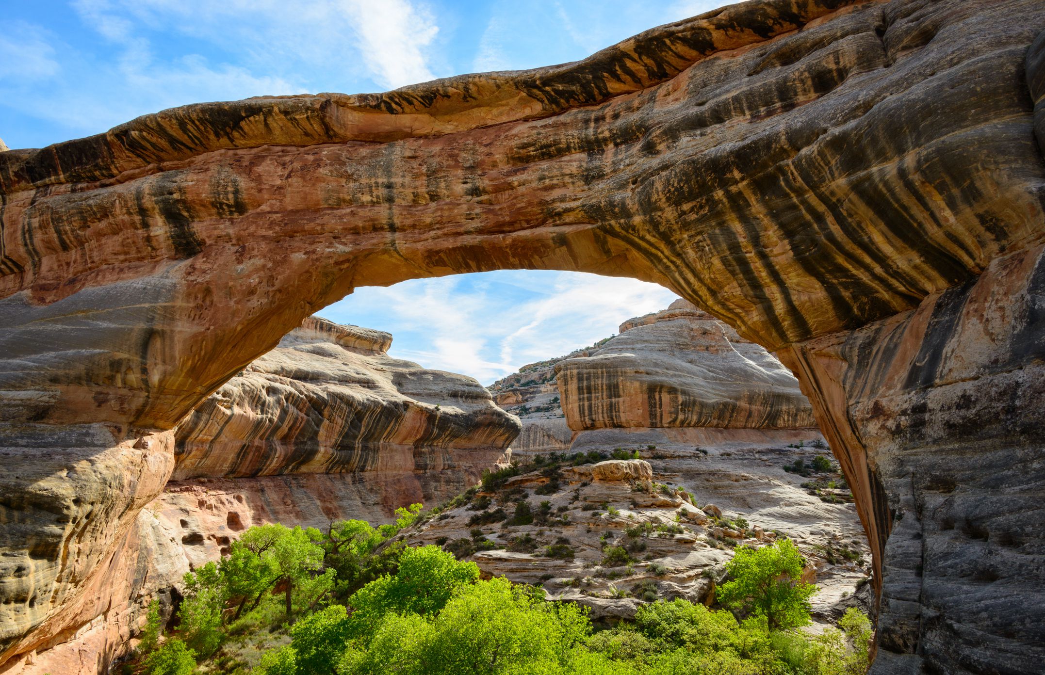 Natural Bridges National MonumentNatural Bridges National Monument