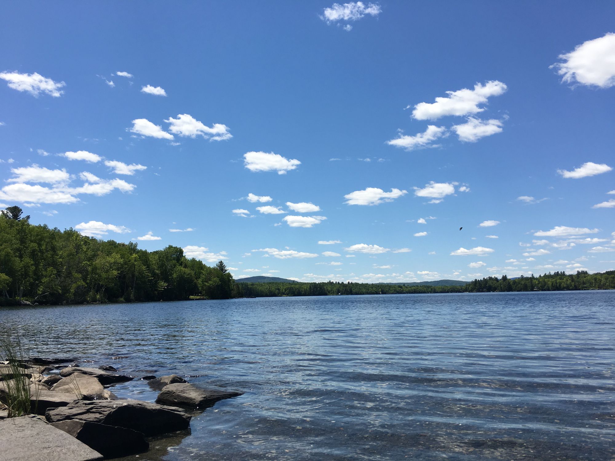 Lakeshore in the sun in Monson, Maine