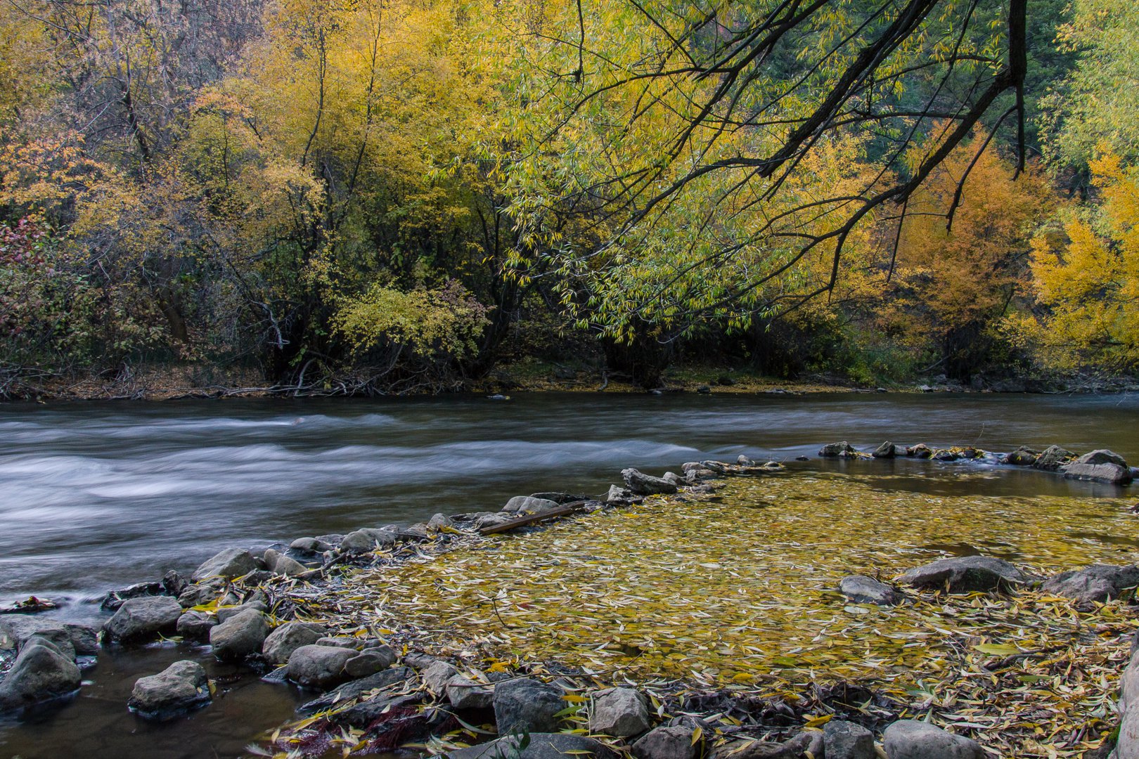 Logan River, Utah