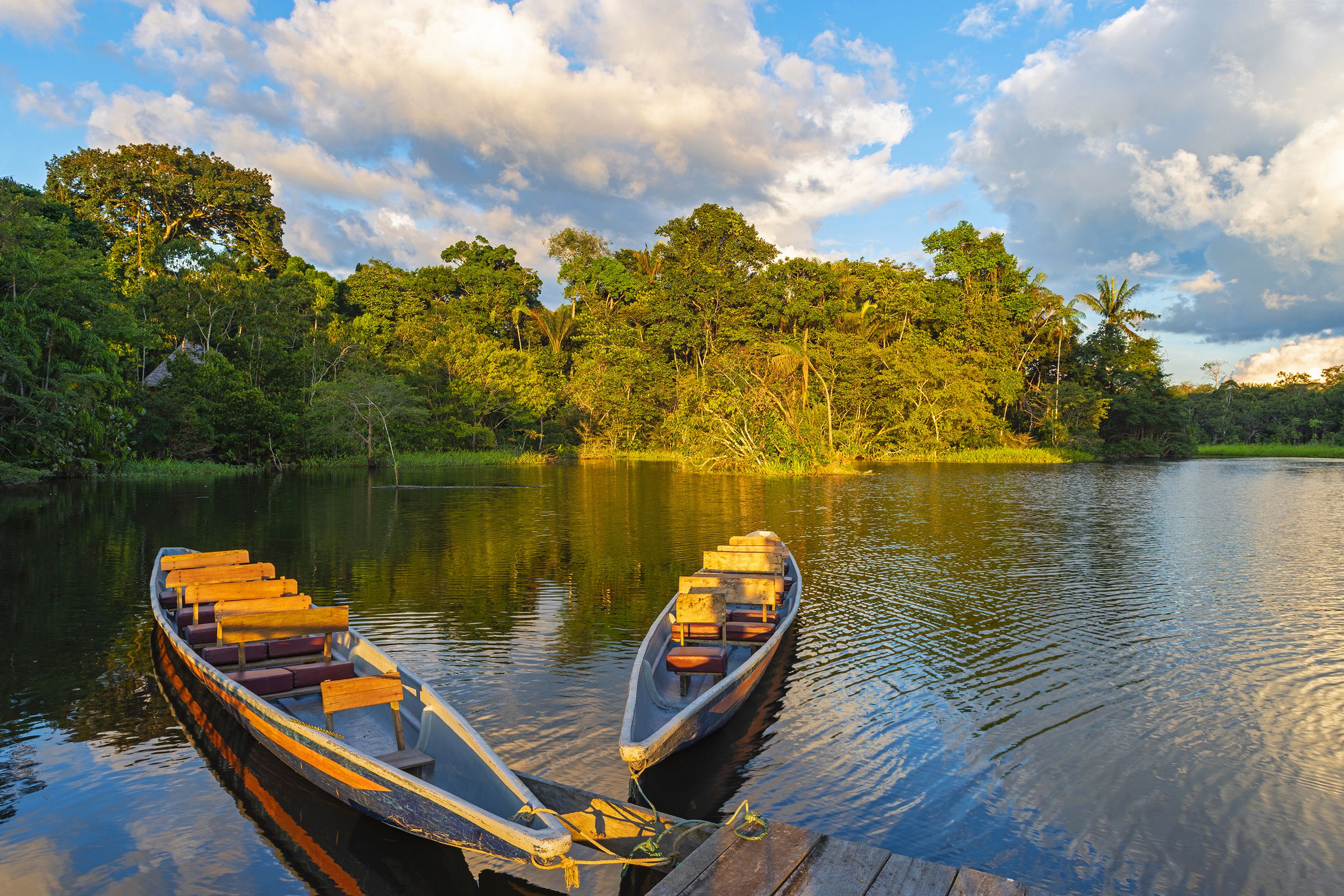 Amazon, Peru