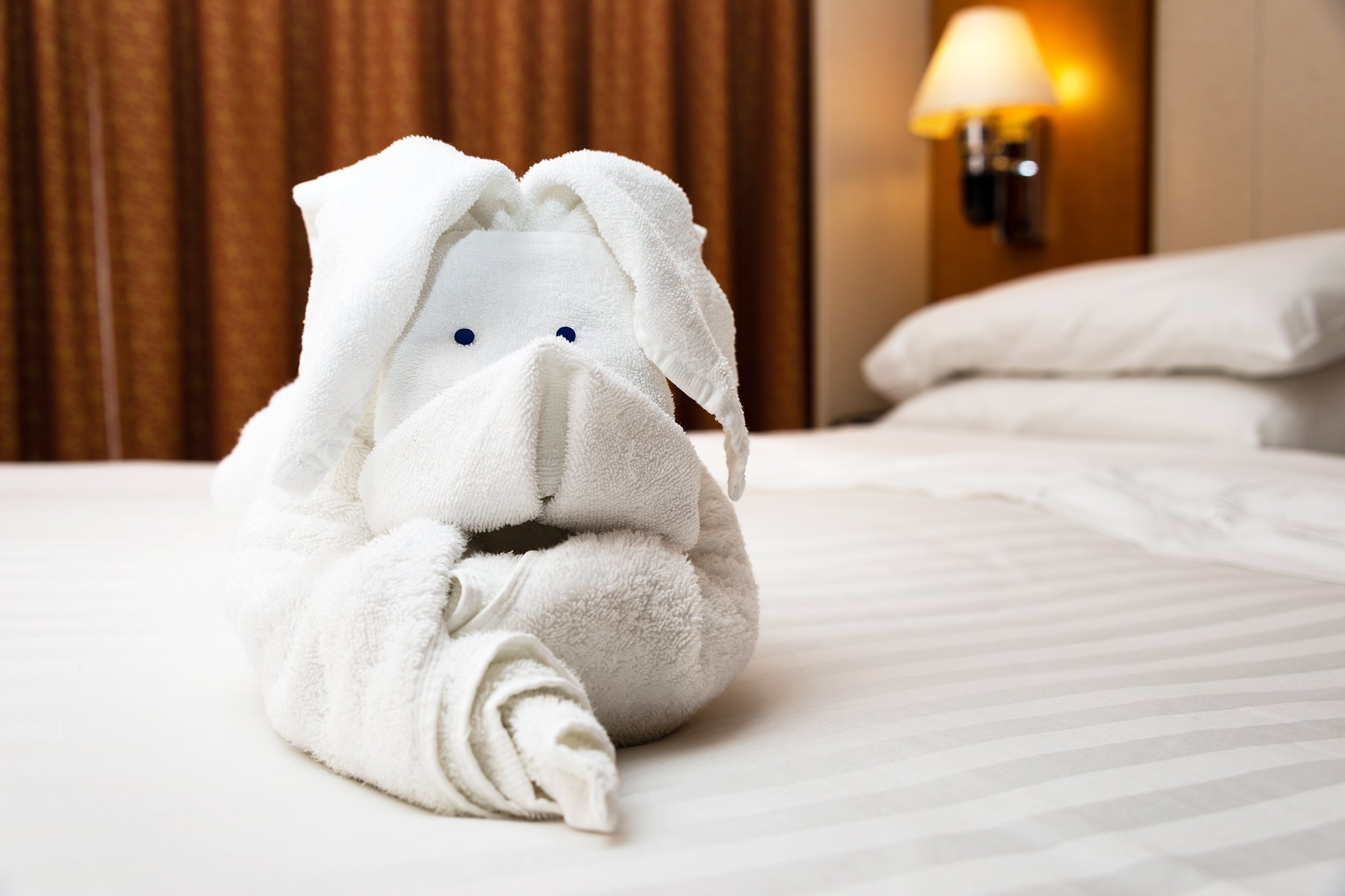 white towel folded into an origami rabbit on a cruise ship