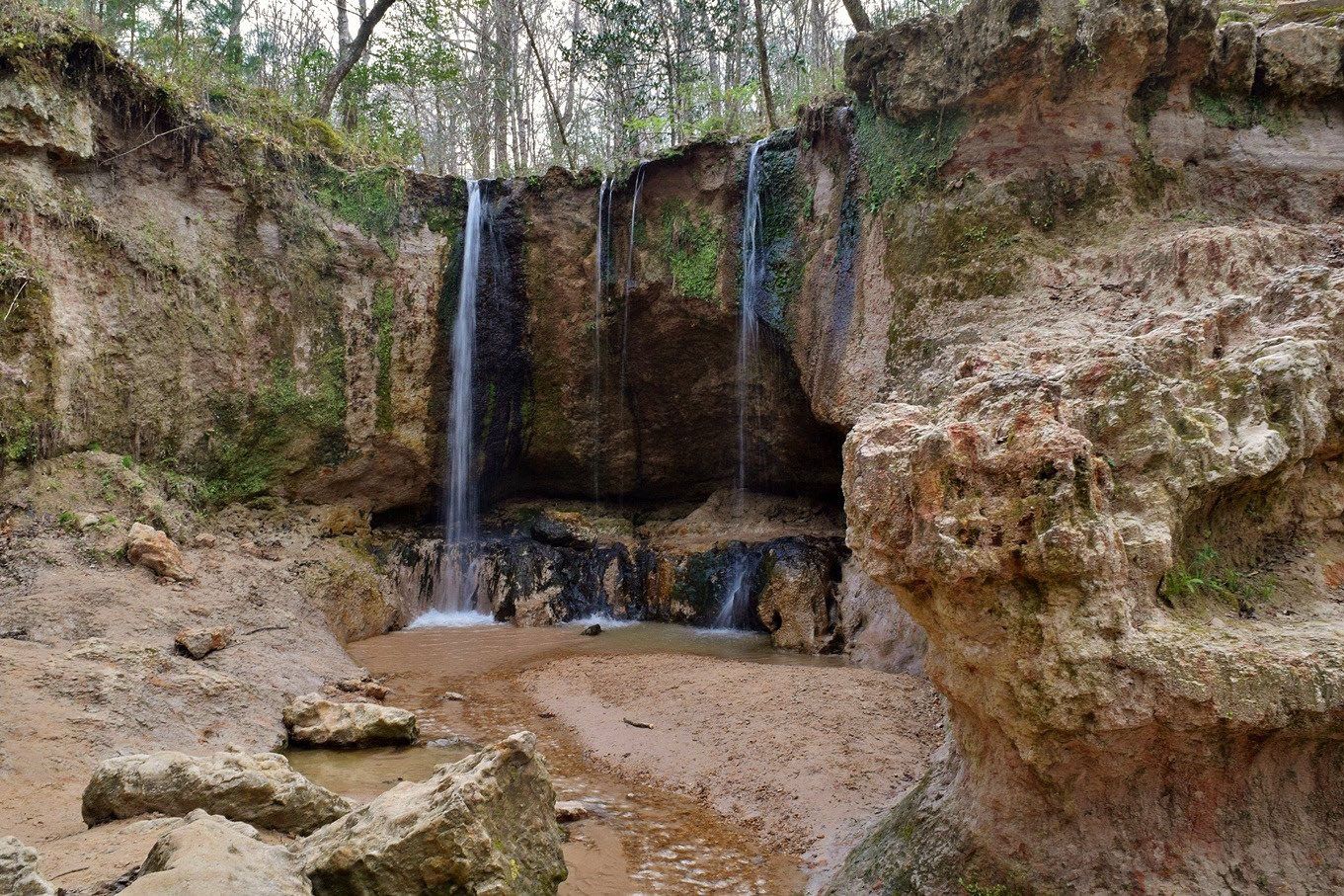 Mississippi: Clark Creek Natural Area