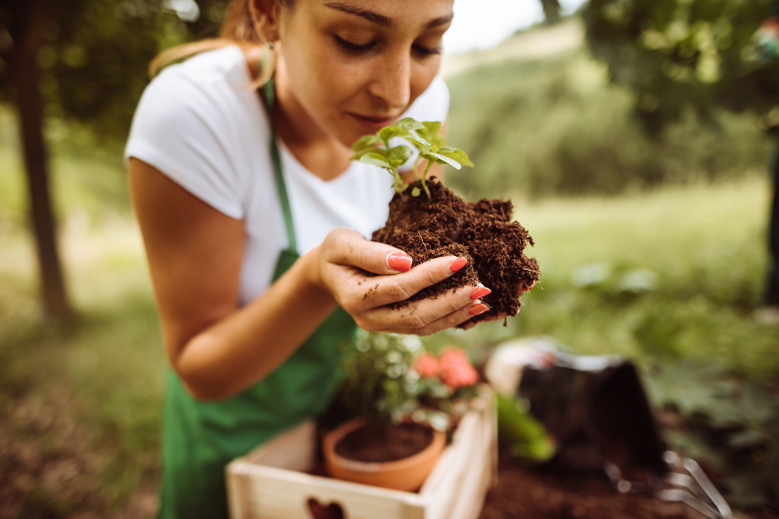 woman planting flower in flower pot