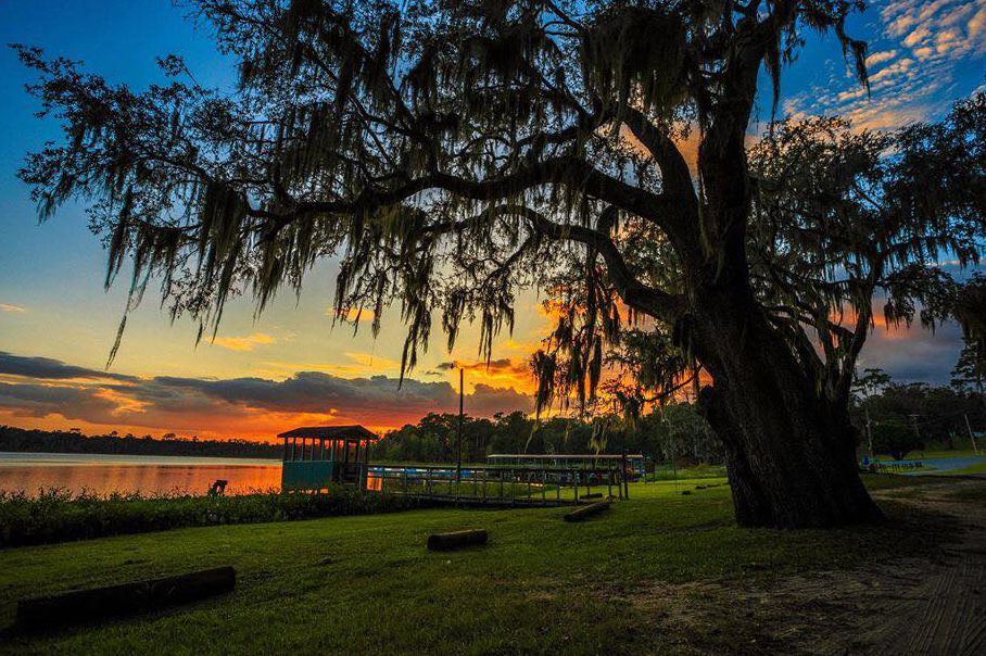 Grassy Pond FamCamp, Georgia
