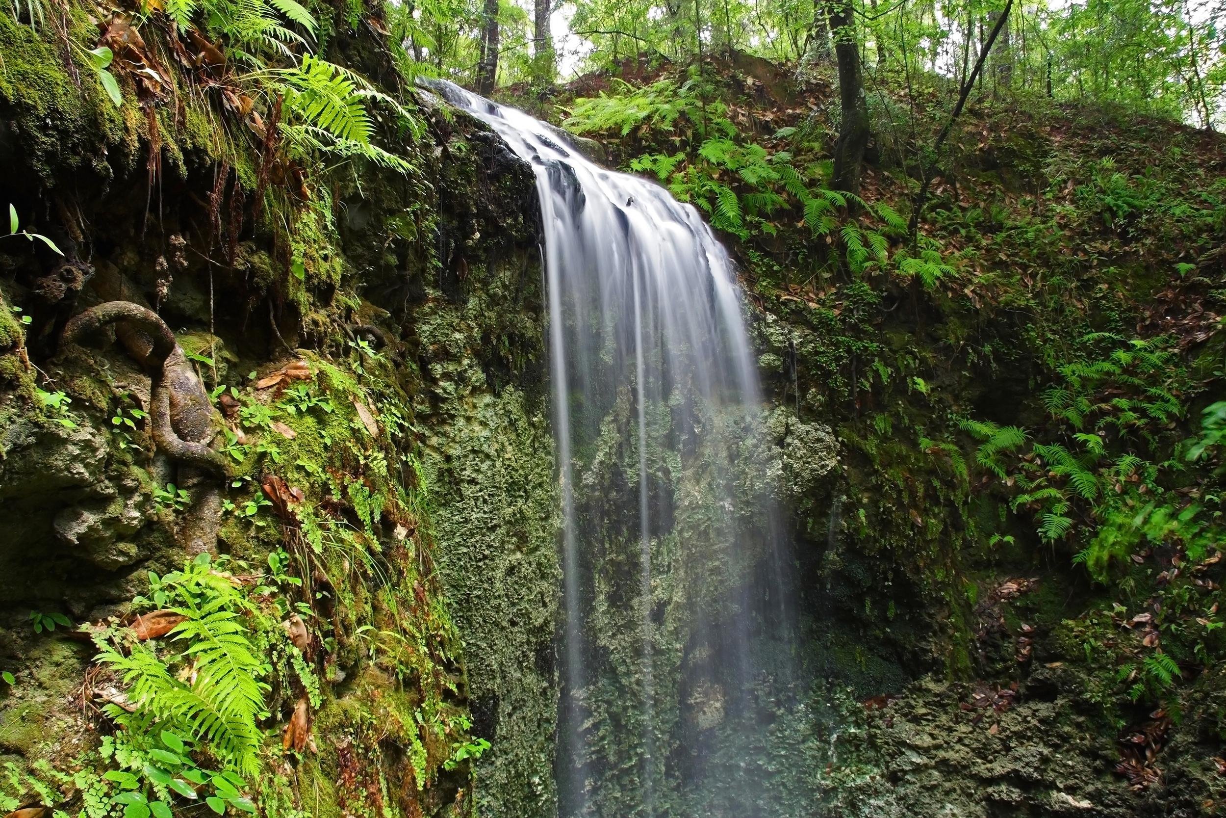 Falling Waters State Park, Florida
