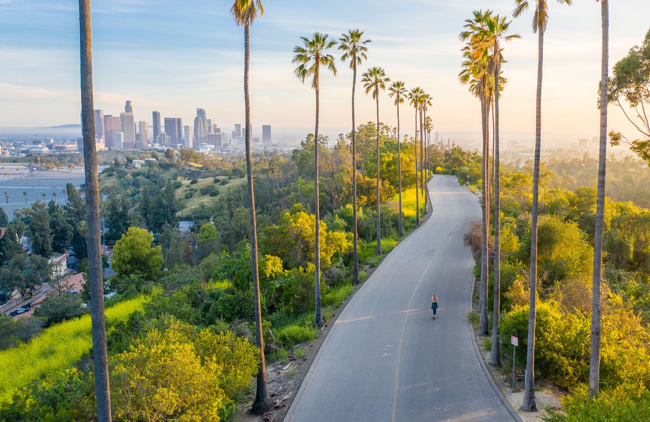Aerial of a lone woman walking a palm tree-lined exercise road in downtown Los Angeles, in the foreground with buildings of downtown in the background, beach on the left, during sunrise