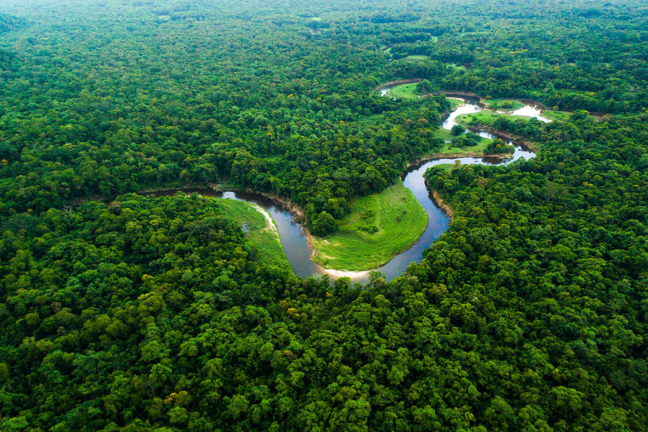 Aerial of a river snaking through the Atlantic Forest, Brazil, trees crowd the image