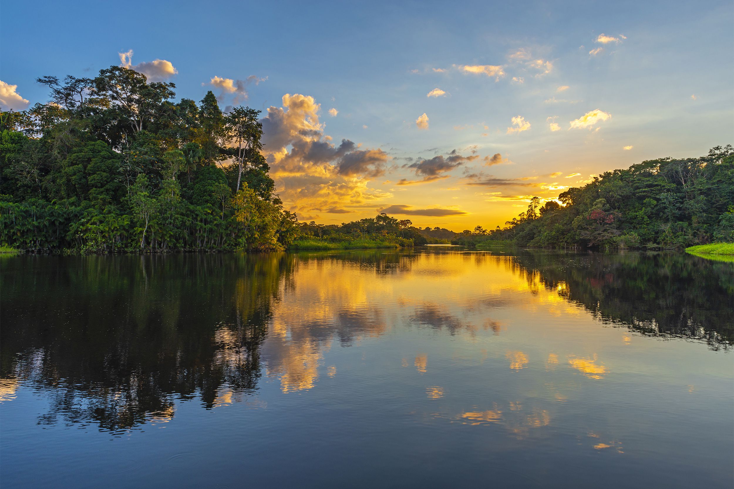 Amazon River