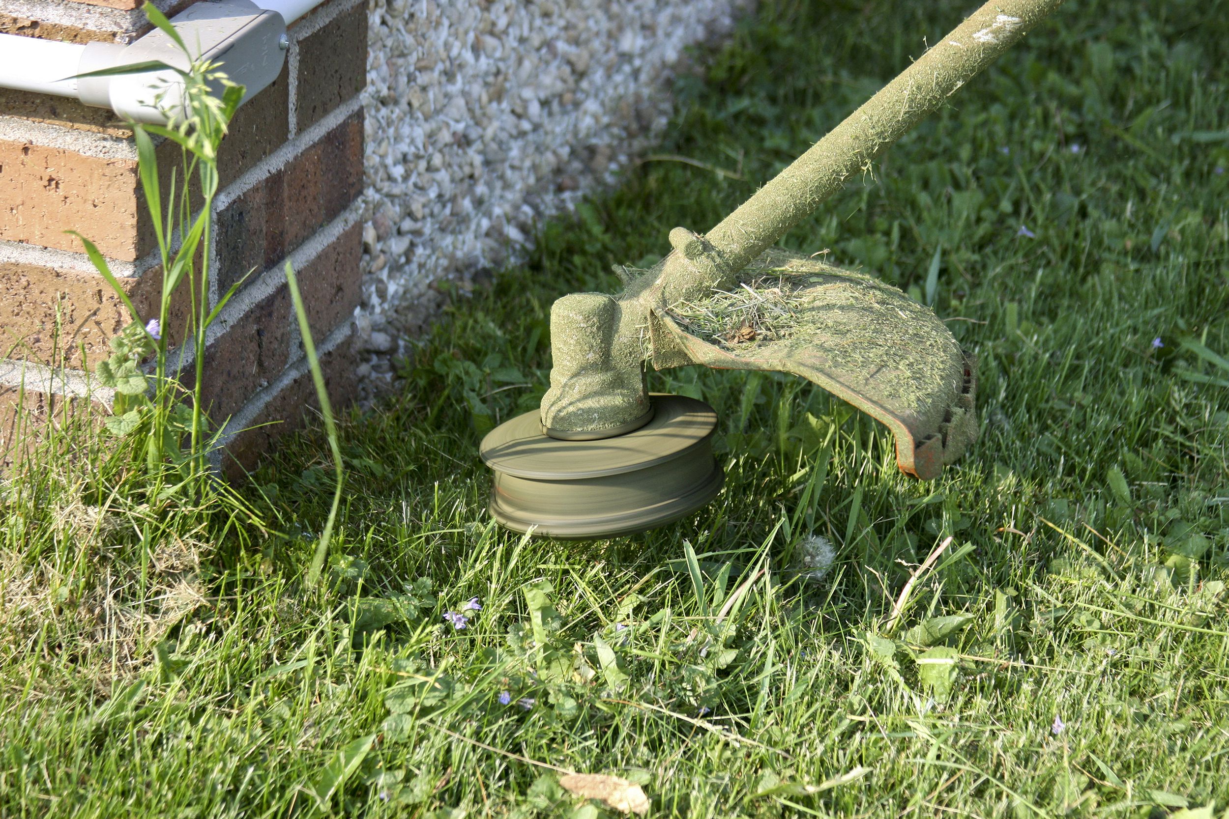 Closeup of a weed eater cutting grass by the side of a brick building on the left on a sunny day