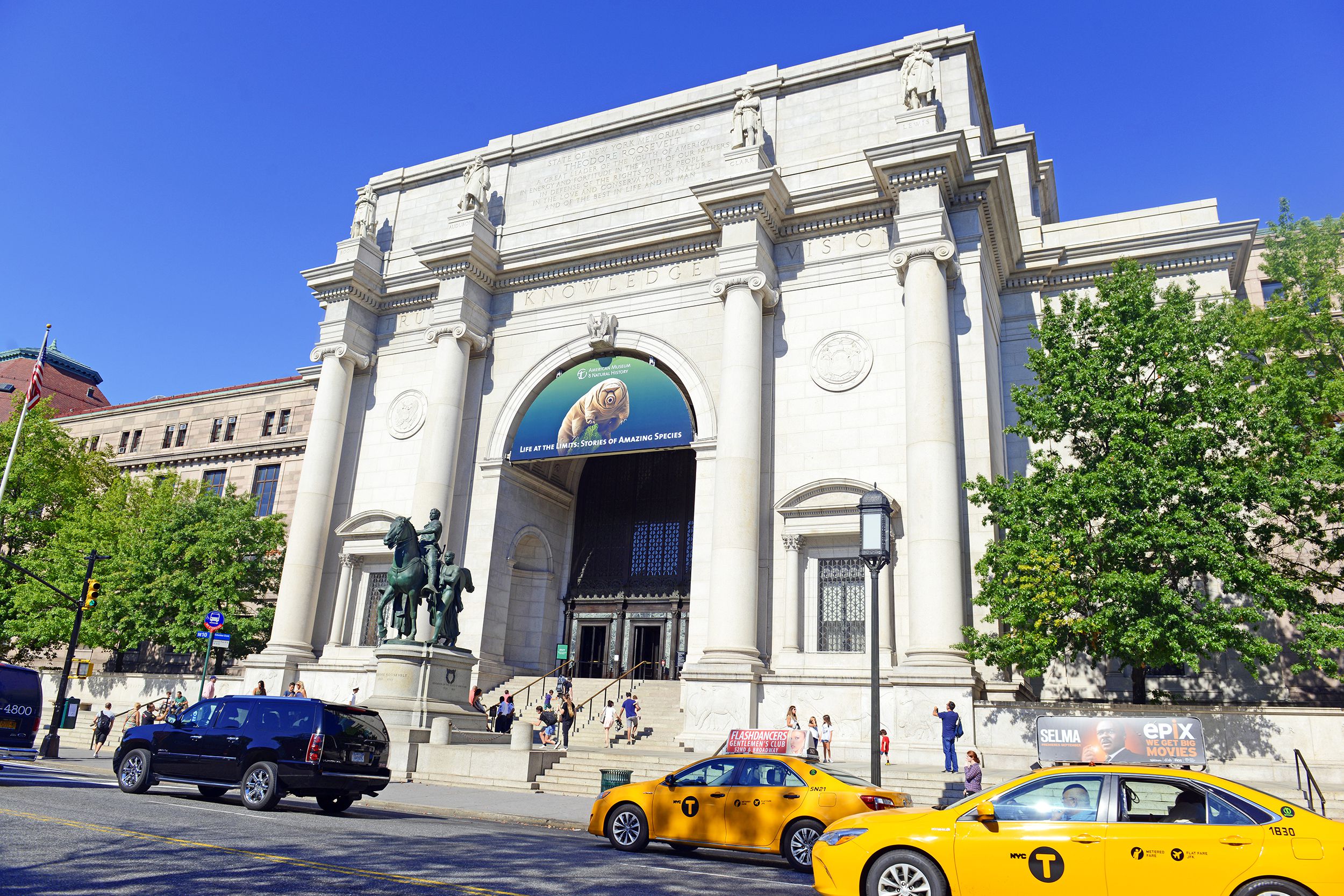 Front exterior of the American Museum of Natural History, Manhattan, two yellow taxi cabs in the foreground, large statue and steps leading to the front doors, on a sunny day in summer