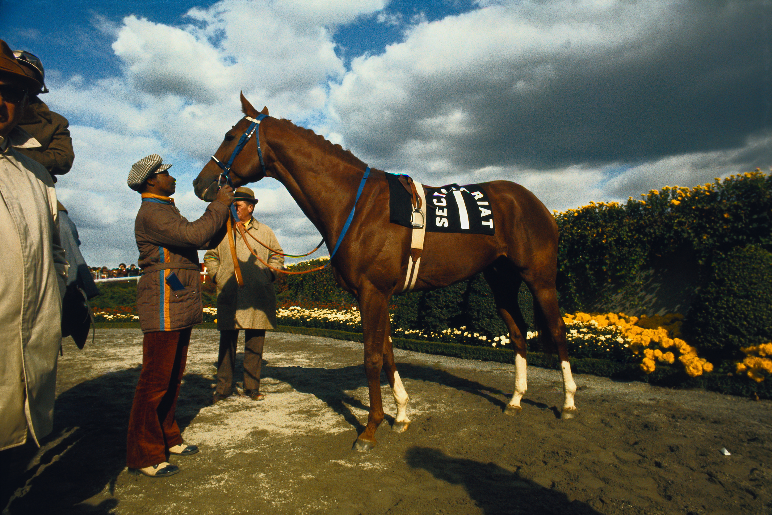 Secretariat 1973 Derby