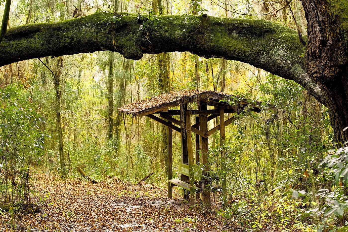 Grassy Pond FamCamp, Lake Park, Georgia, a trail in the park