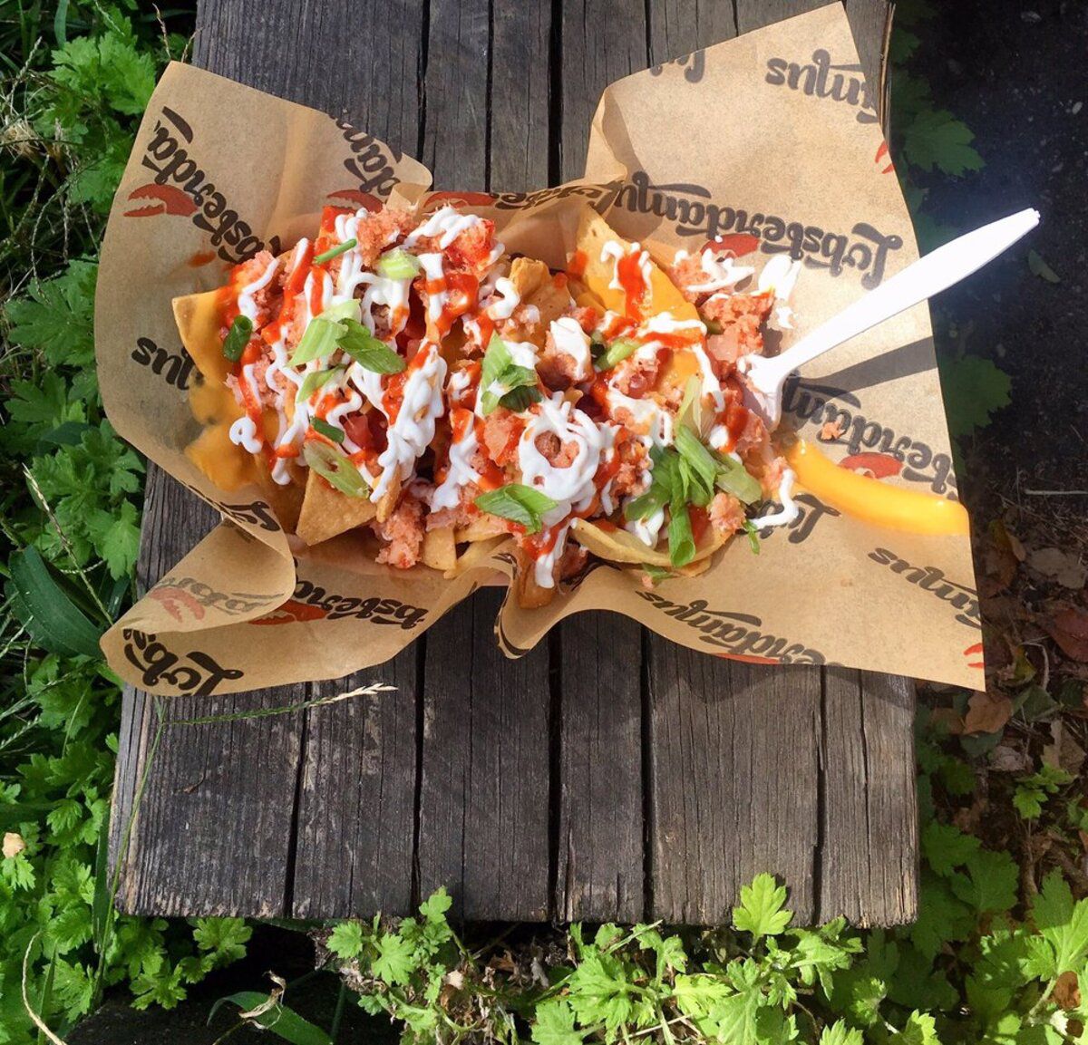 Lobster Nachos, Smorgasburg, Prospect Park, Brooklyn