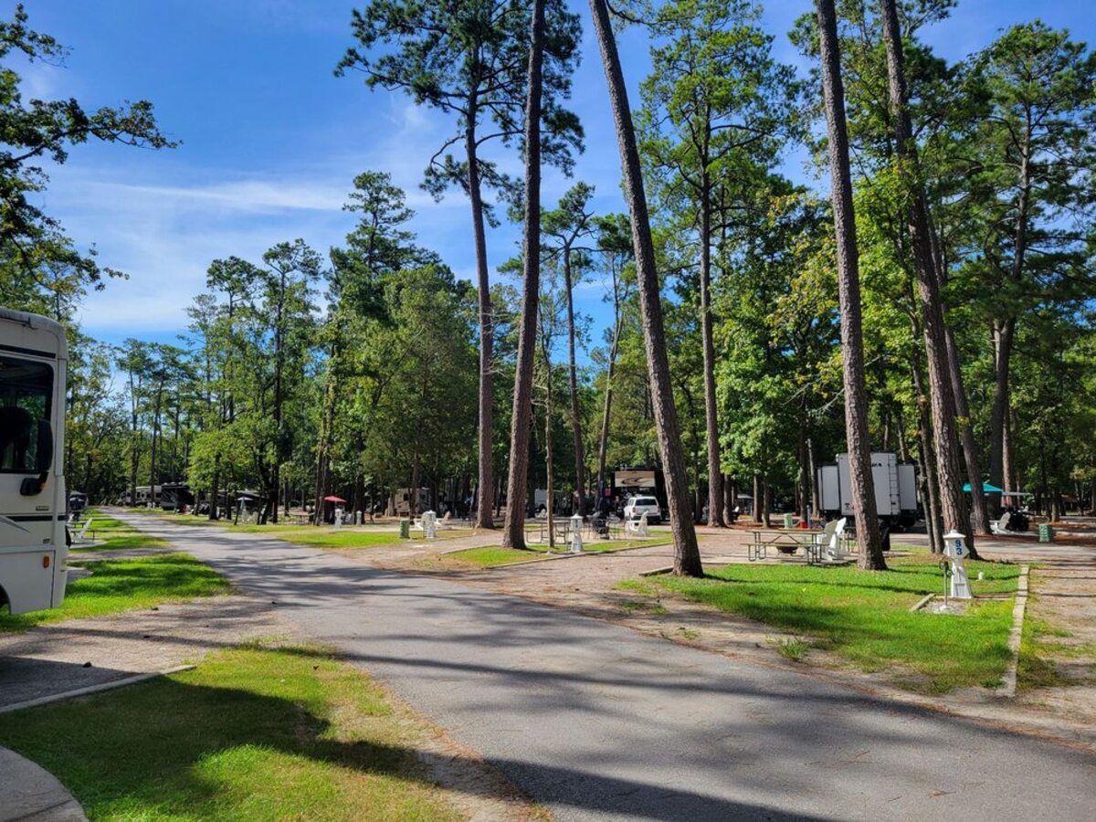 Myrtle Beach KOA, Myrtle Beach, South Carolina, RV park area