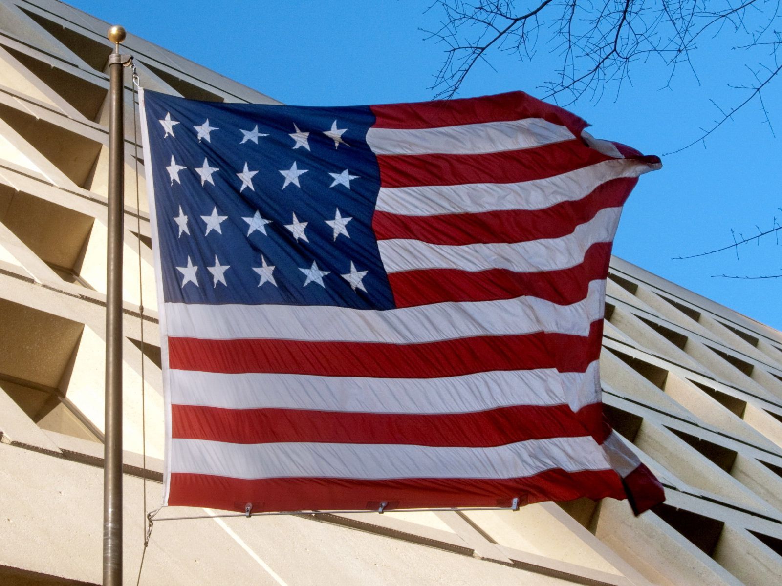 Flag of 1818 (20 Star Flag)
