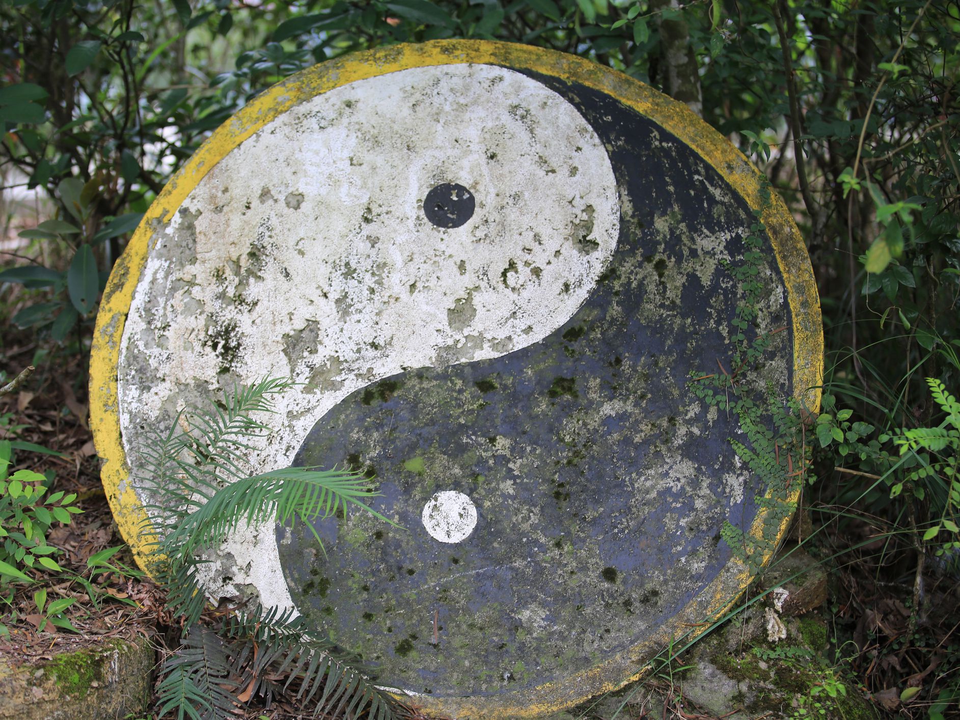 tai ji symbol yin yang in china culture