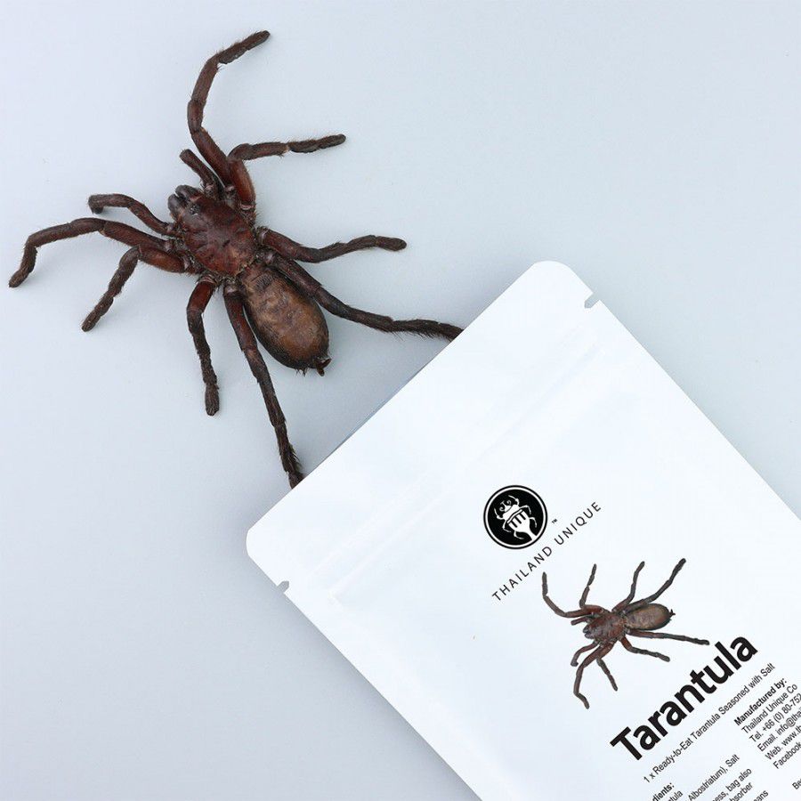 Dehydrated Tarantula