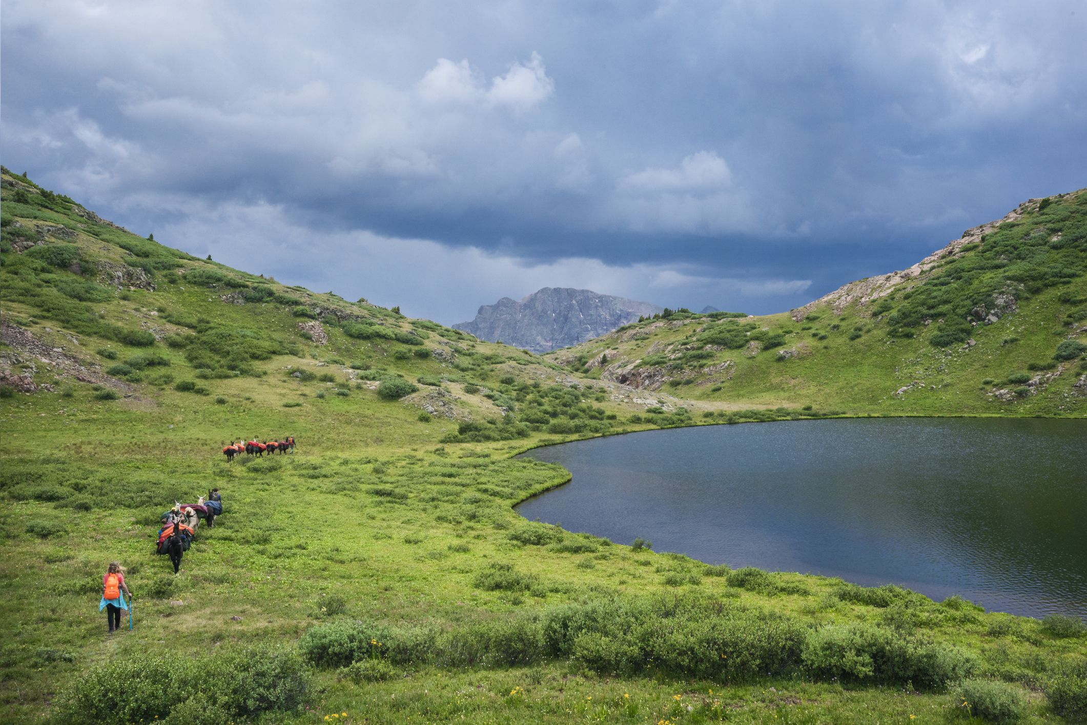 A herd of llamas and several hikers trek along a dirt trail above tree line around Verde Lake in the San Juan Mountains on a cloudy summer day, Weminuche Wilderness, Rocky Mountains, Colorado, USA