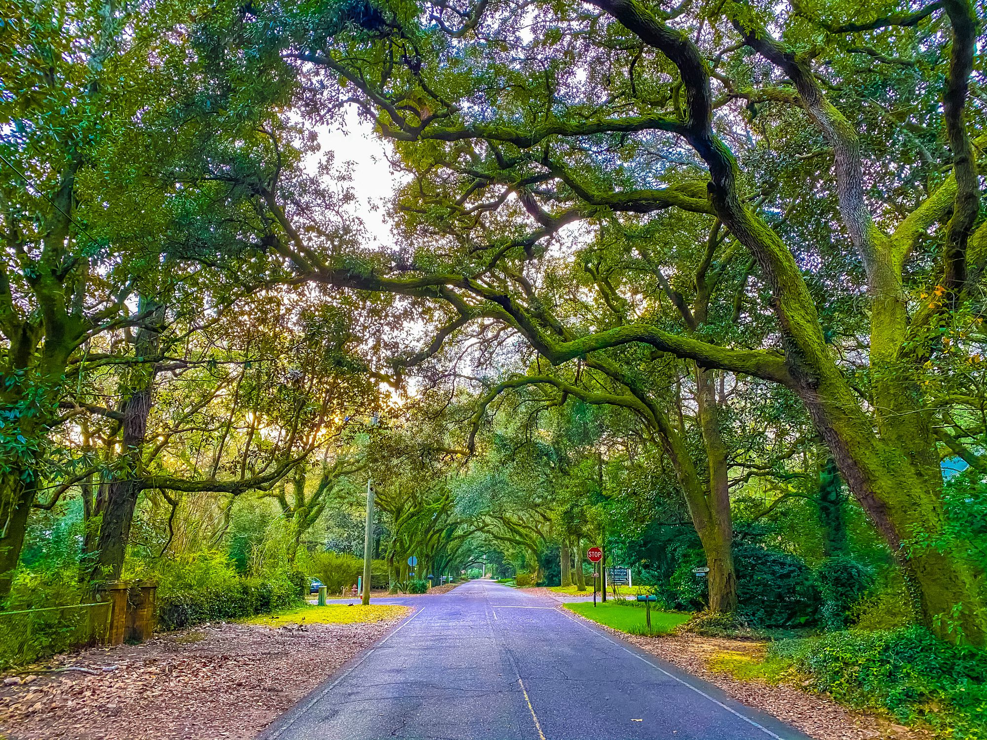 Sun set time on Oak Street , Magnolia Springs , Alabama USA