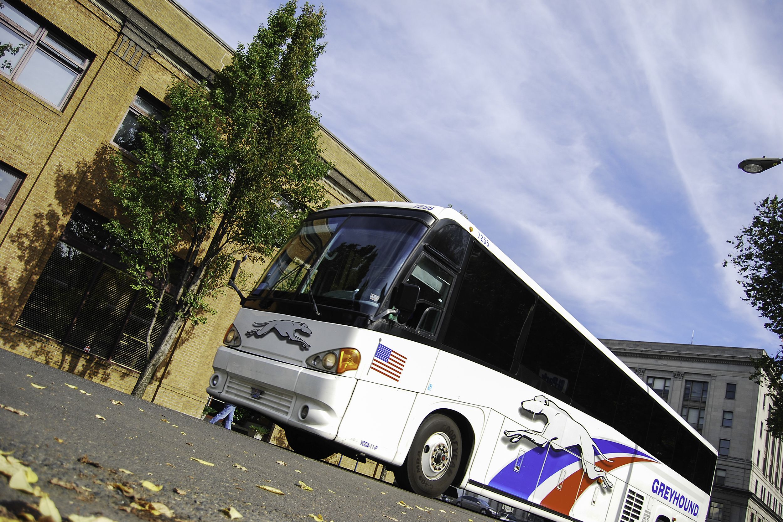 Greyhound bus