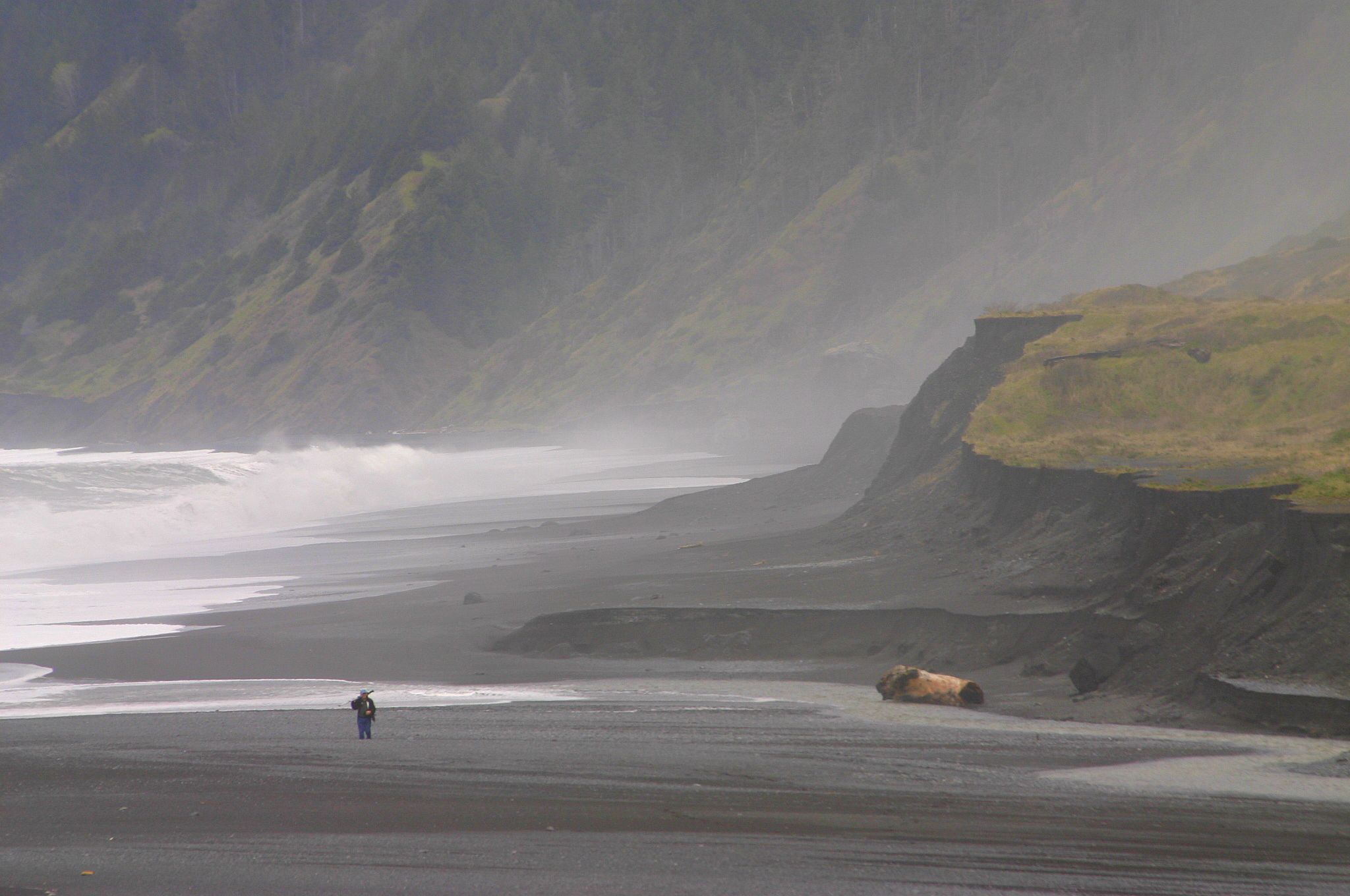 shelter cove, CA black sand beach