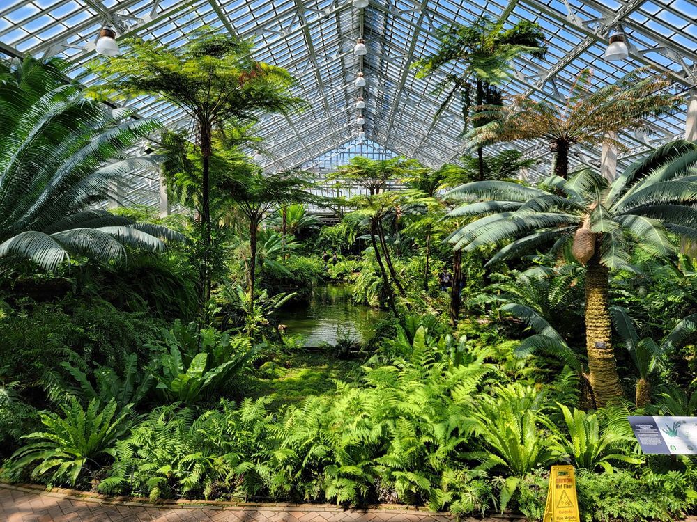 Stop and Smell the Flowers at Garfield Park Conservatory