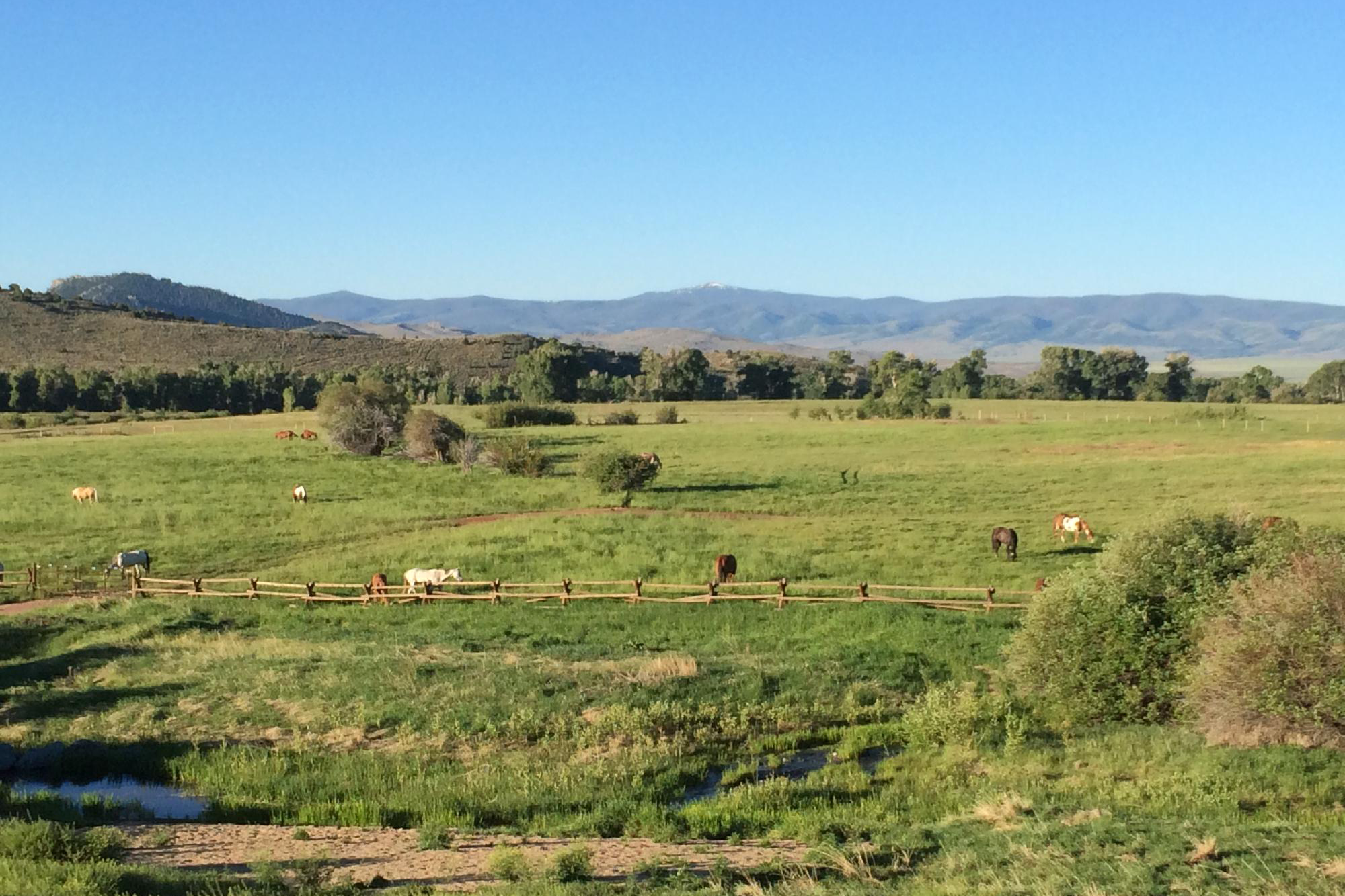 Bush Creek Ranch Wyoming