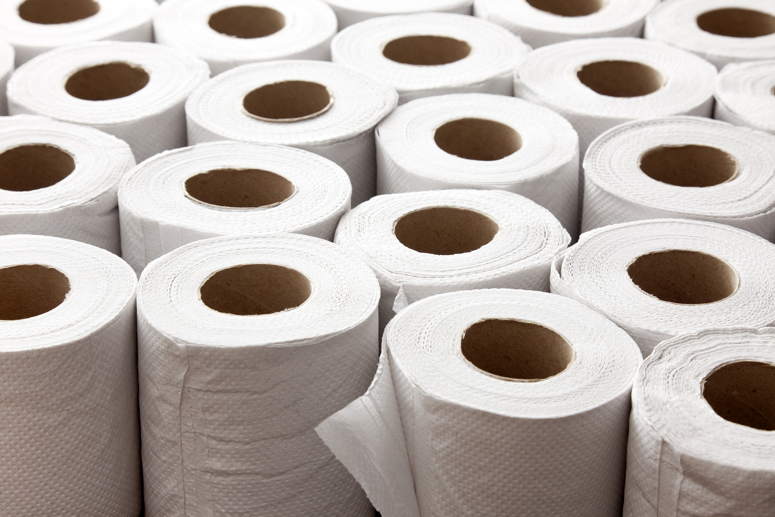 Bulk supply of toilet paper