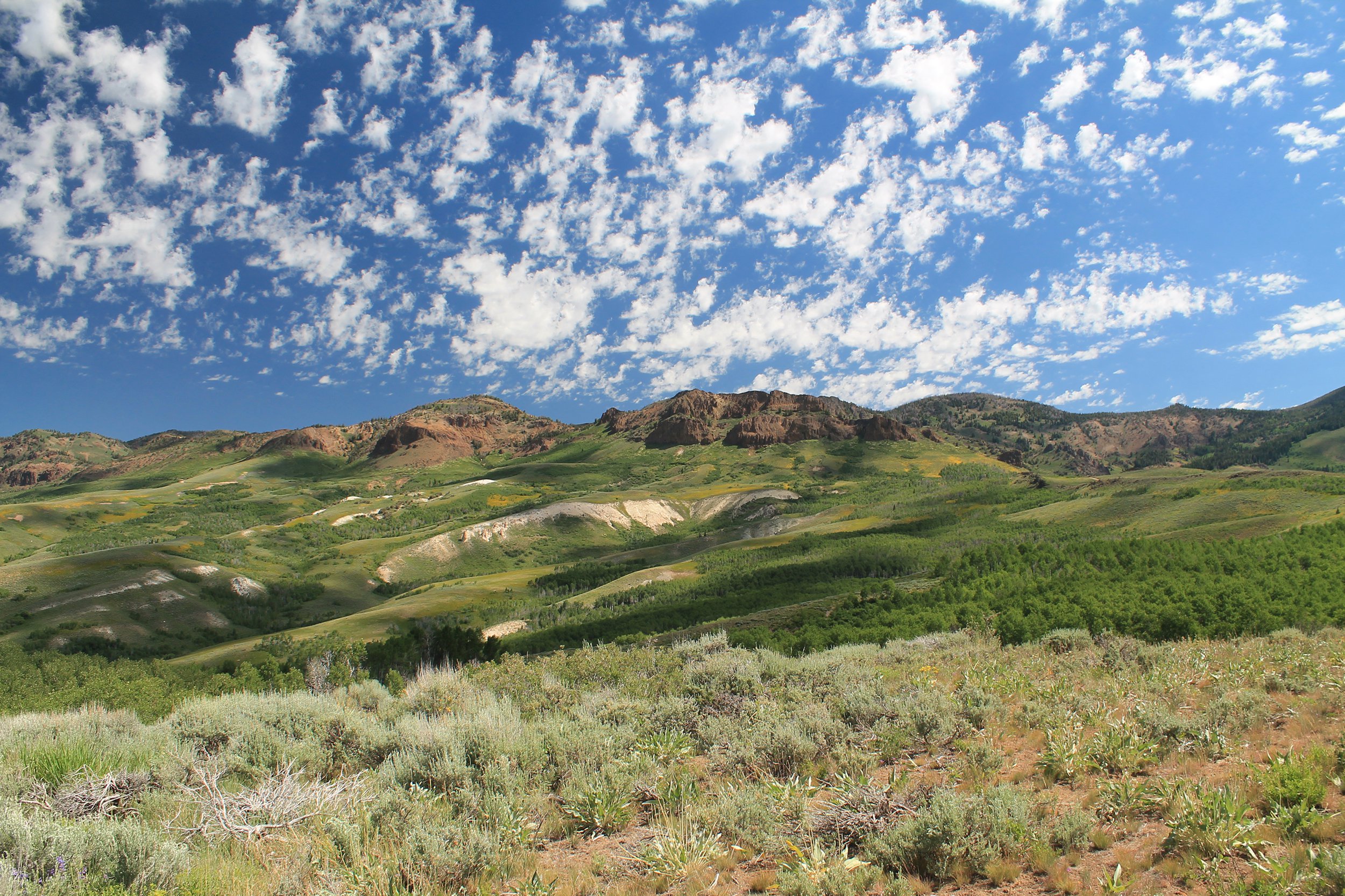 Jarbidge in Nevada