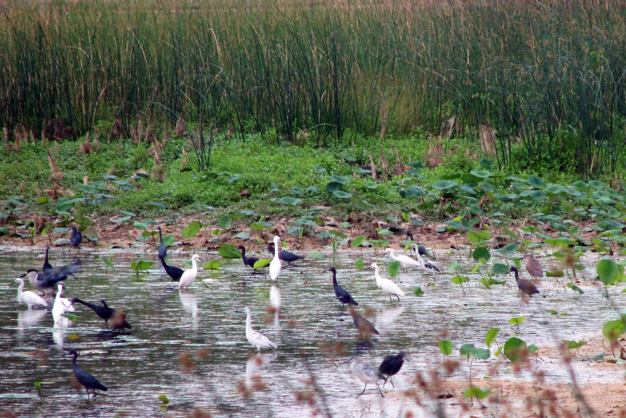 Salt Plains National Wildlife Refuge in Oklahoma