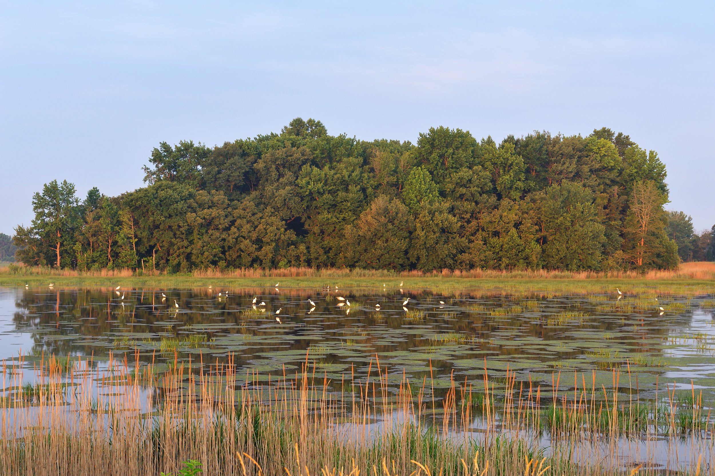 Bombay Hook National Wildlife Refuge in Delaware