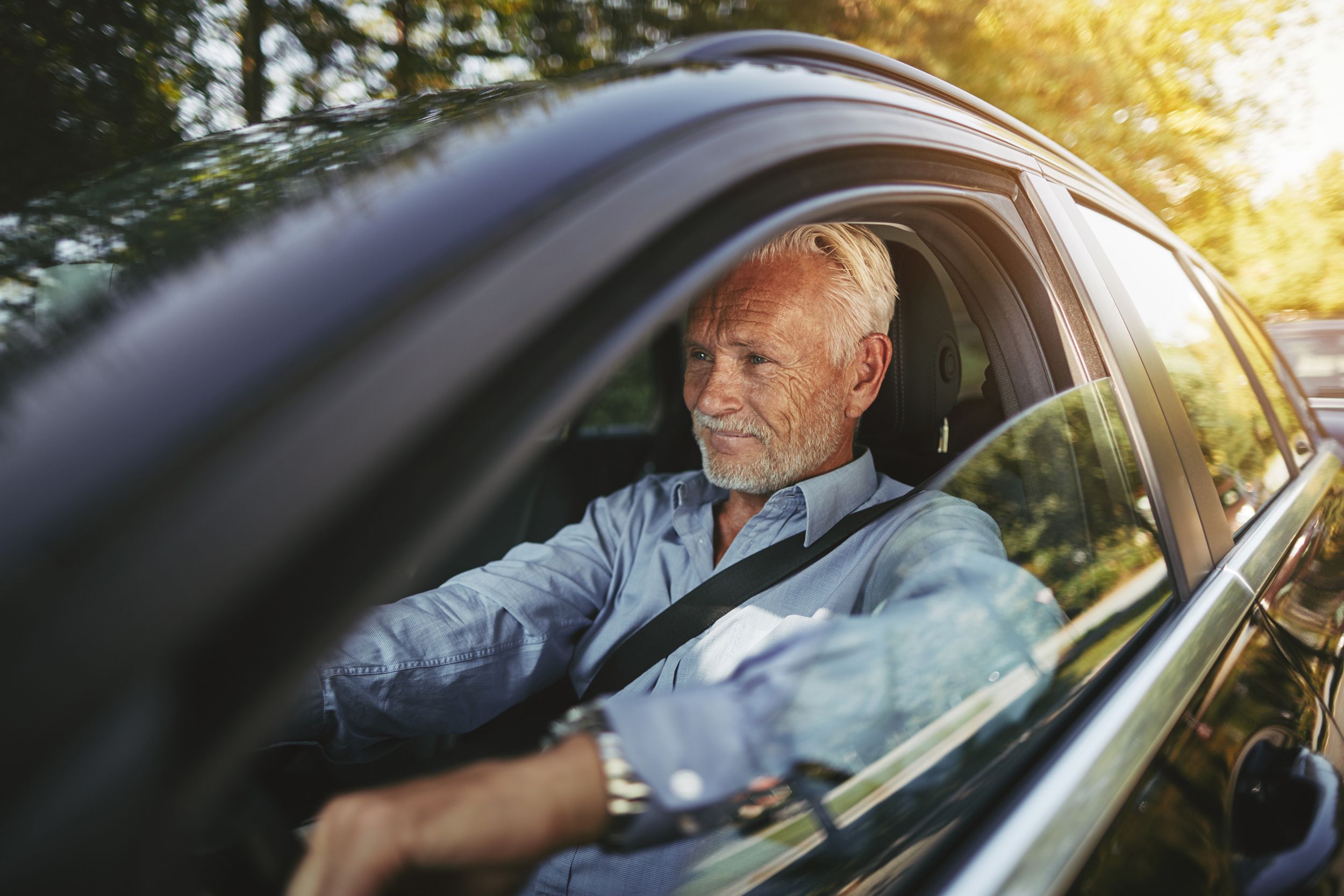 smiling senior man driving on a tree lined country road