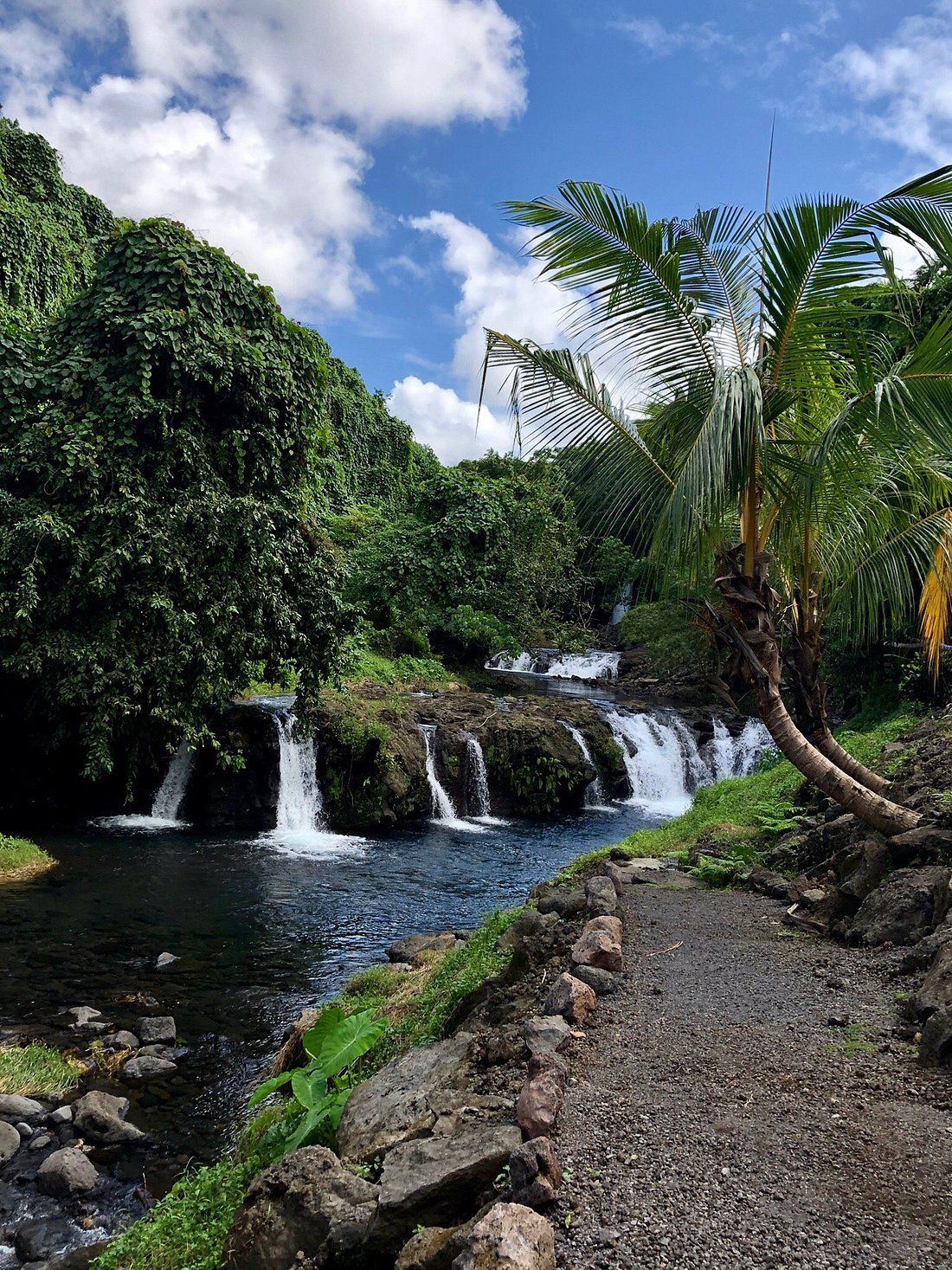 Afu Aau Waterfall, Savaii, Samoa with swimming hole and tropical foliage, trail is on right side