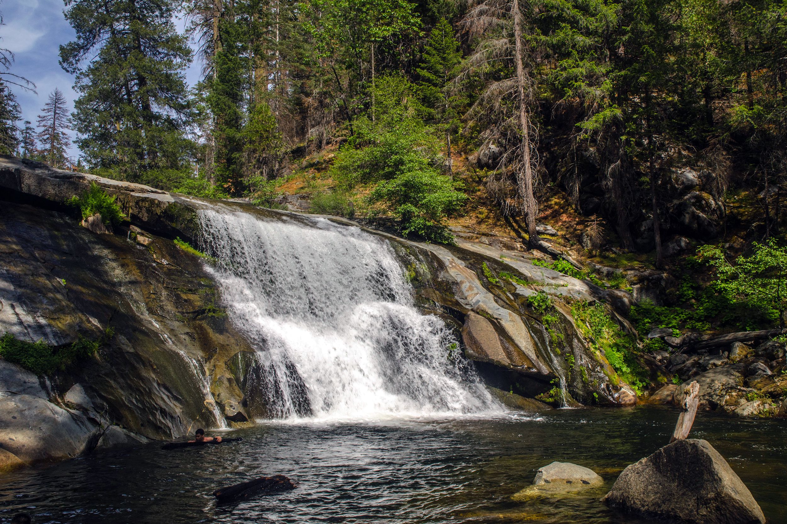 Carlon Falls, Yosemite National Park, California with swimming hole and surrounded by ponderosa pines