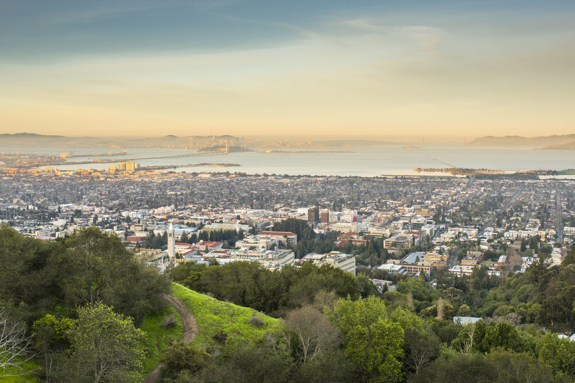 Cityscape of Berkeley, California as viewed from a campanile on the hill during dawn