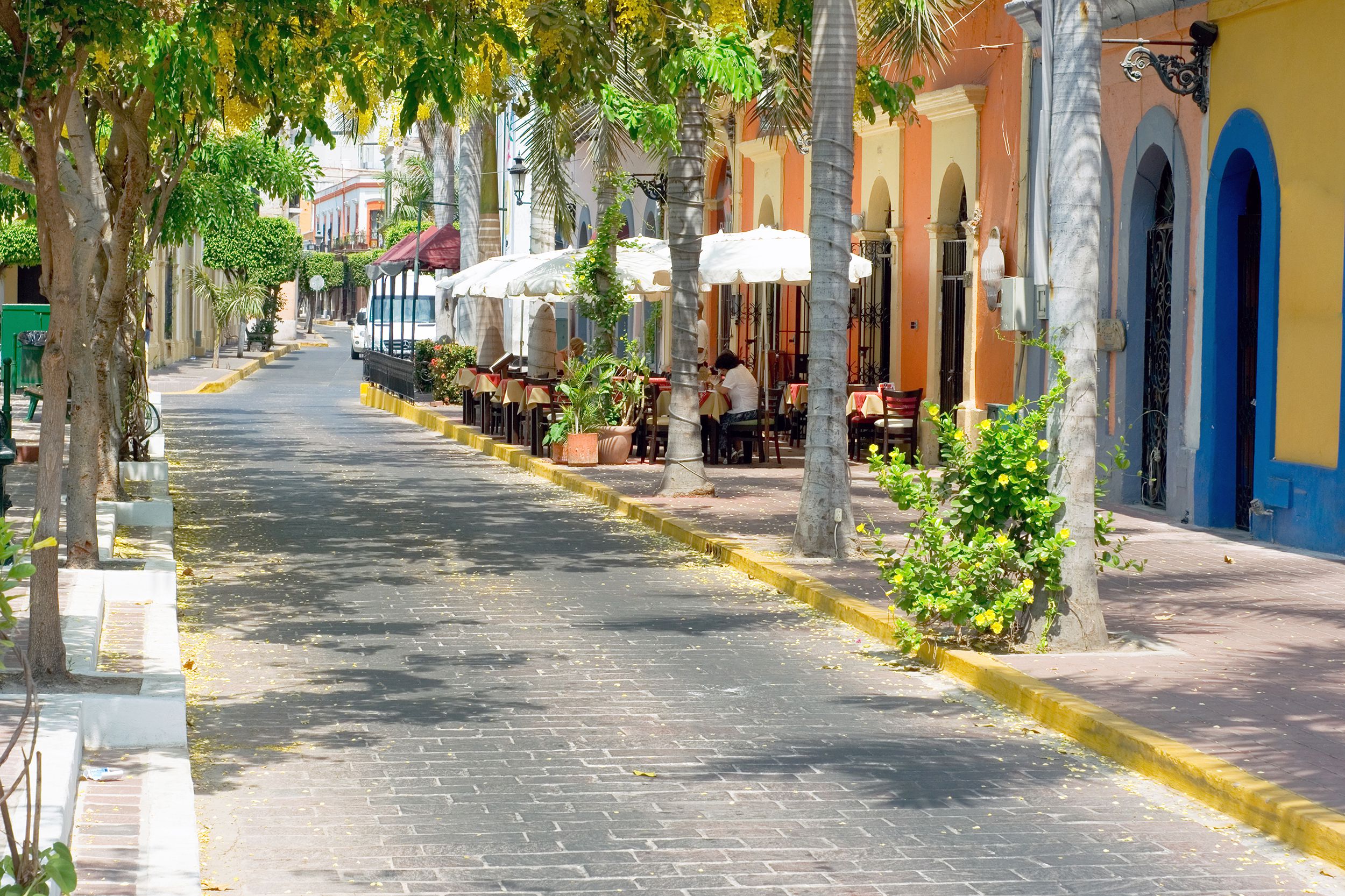 Palm trees and colorful buildings line the Historic District, Mazatlán, Mexico, brick road, on a sunny day