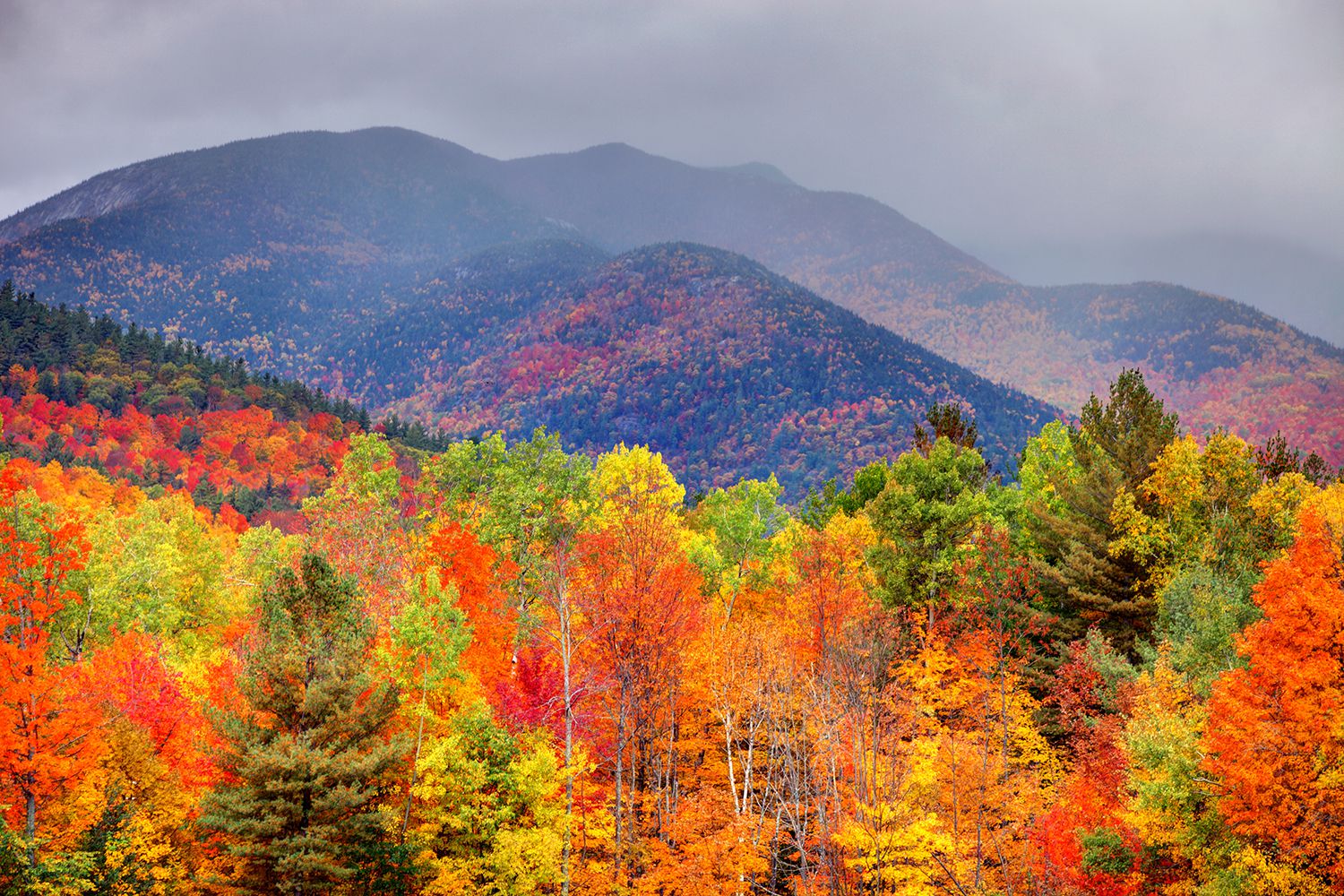 Colorful trees in the Adirondack Mountains, New York, during autumn, trees in the foreground with colors in the mountains in the background, moody fog over the mountains