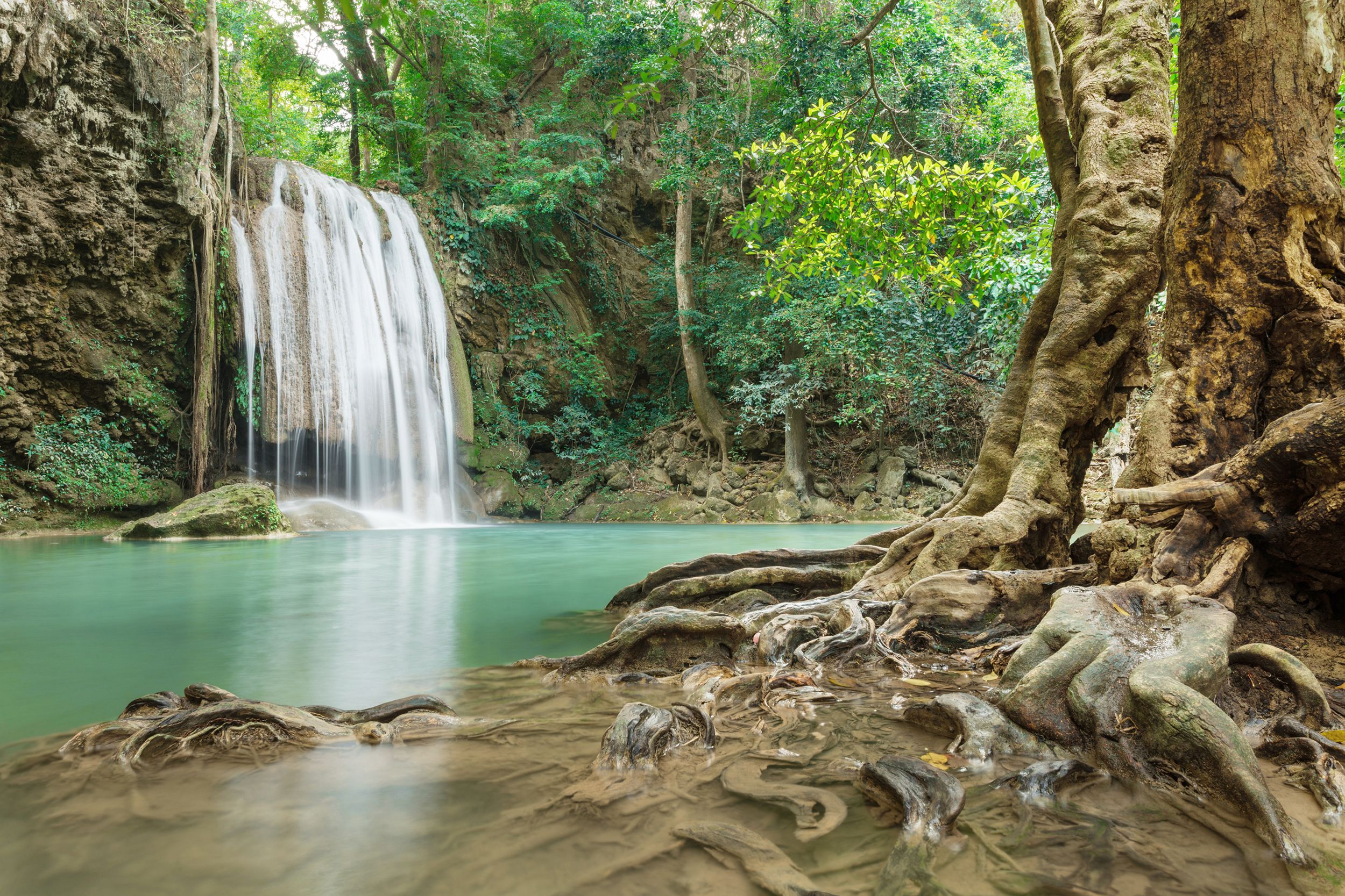 Erawan Falls, Erawan National Park, Thailand, closeup of a few trees with a waterfall in the background amongst trees