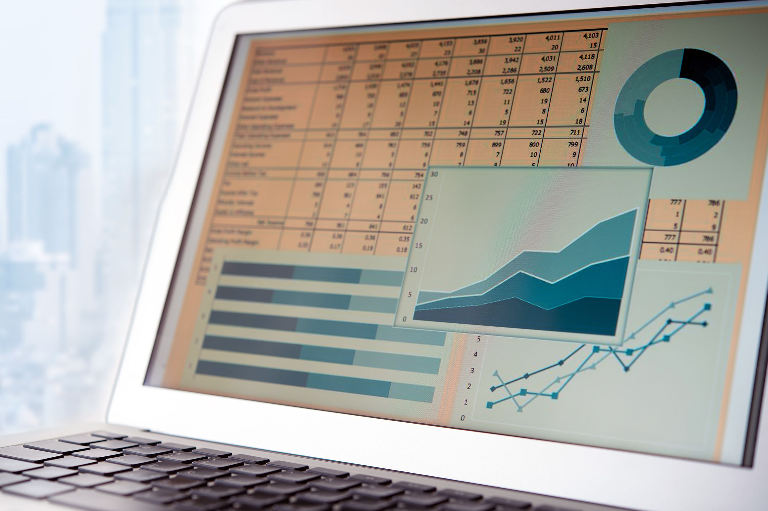 Accounting software on a laptop