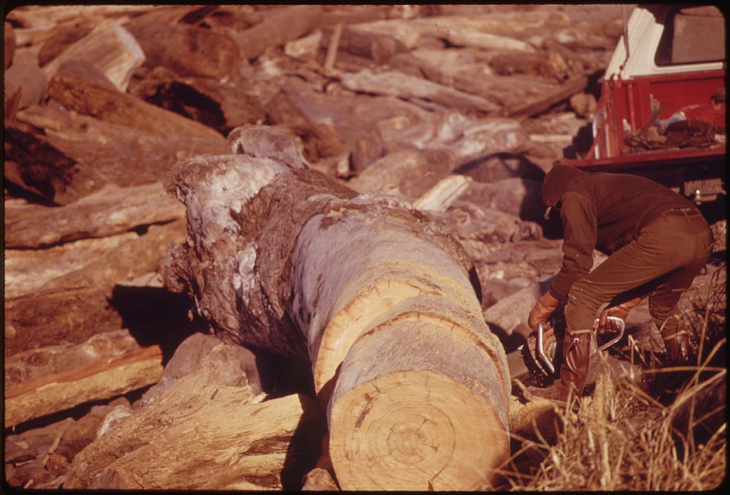 Sawing and Splitting Logs