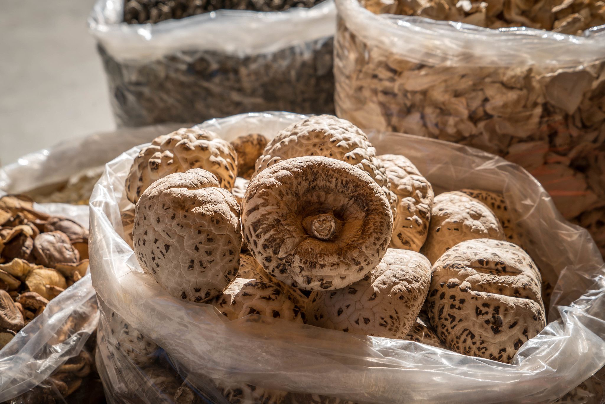 Mushrooms for Sale - Longji Rice Terraces - Guangxi, China
