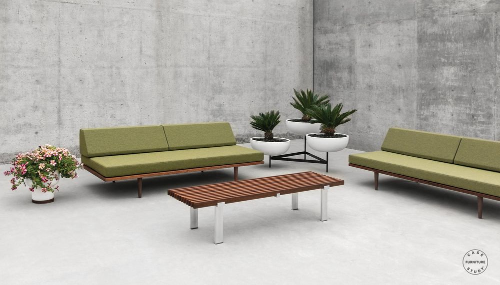 Modernica