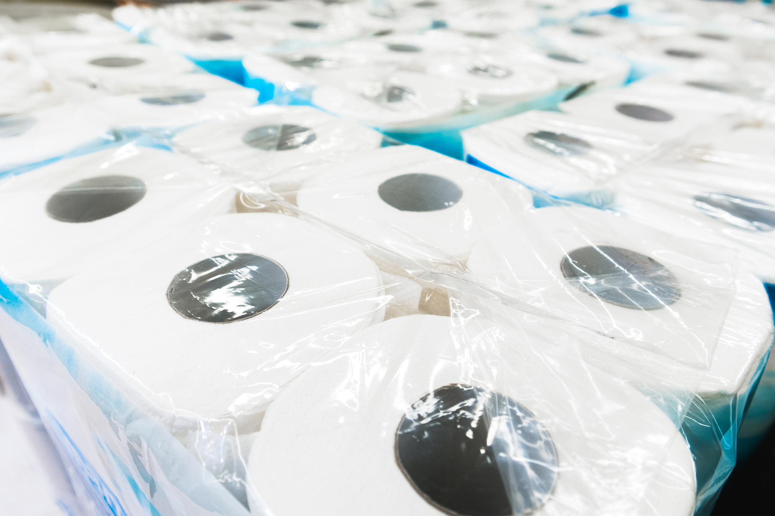 Toilet Paper