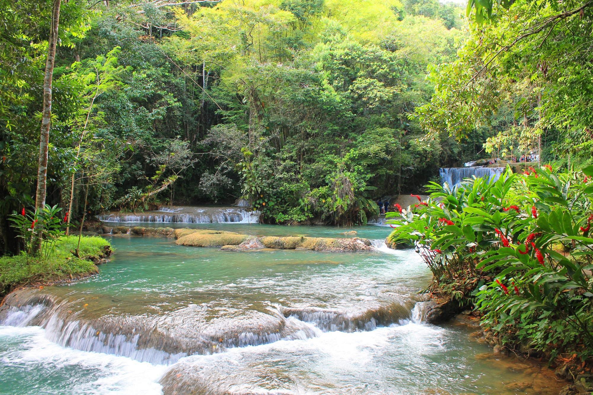YS Falls, St. Elizabeth Parish, Jamaica with swimming holes in the foreground and framed by beautiful tropical plants