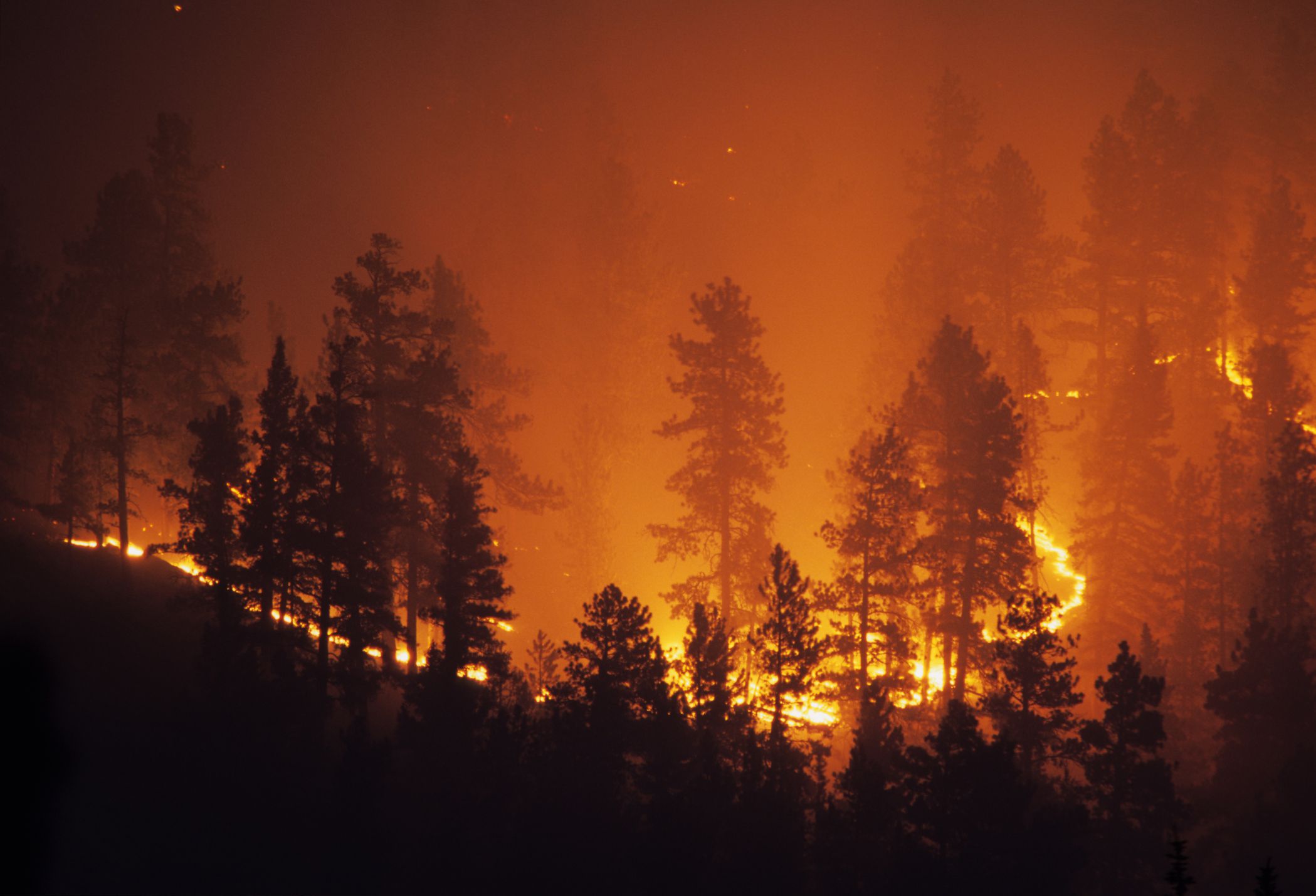 A forest glows as the fire burns out of control on a mountain hillside in the Pike National Forest behind the Platte Canyon High School as it works it way through the pine trees above highway 285 near the small town of Bailey, Colorado.