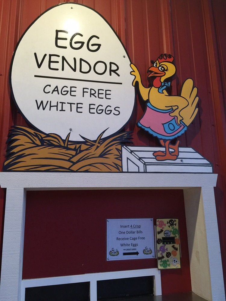 Eggs
