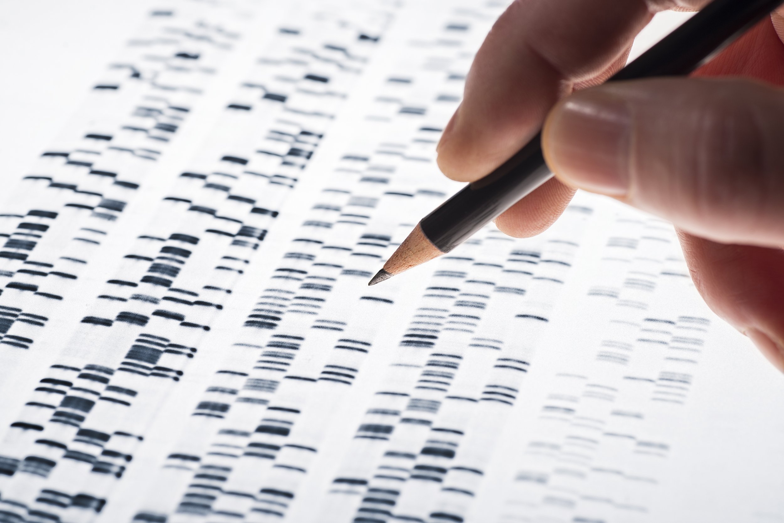 scientists examined DNA gel that is used in genetics