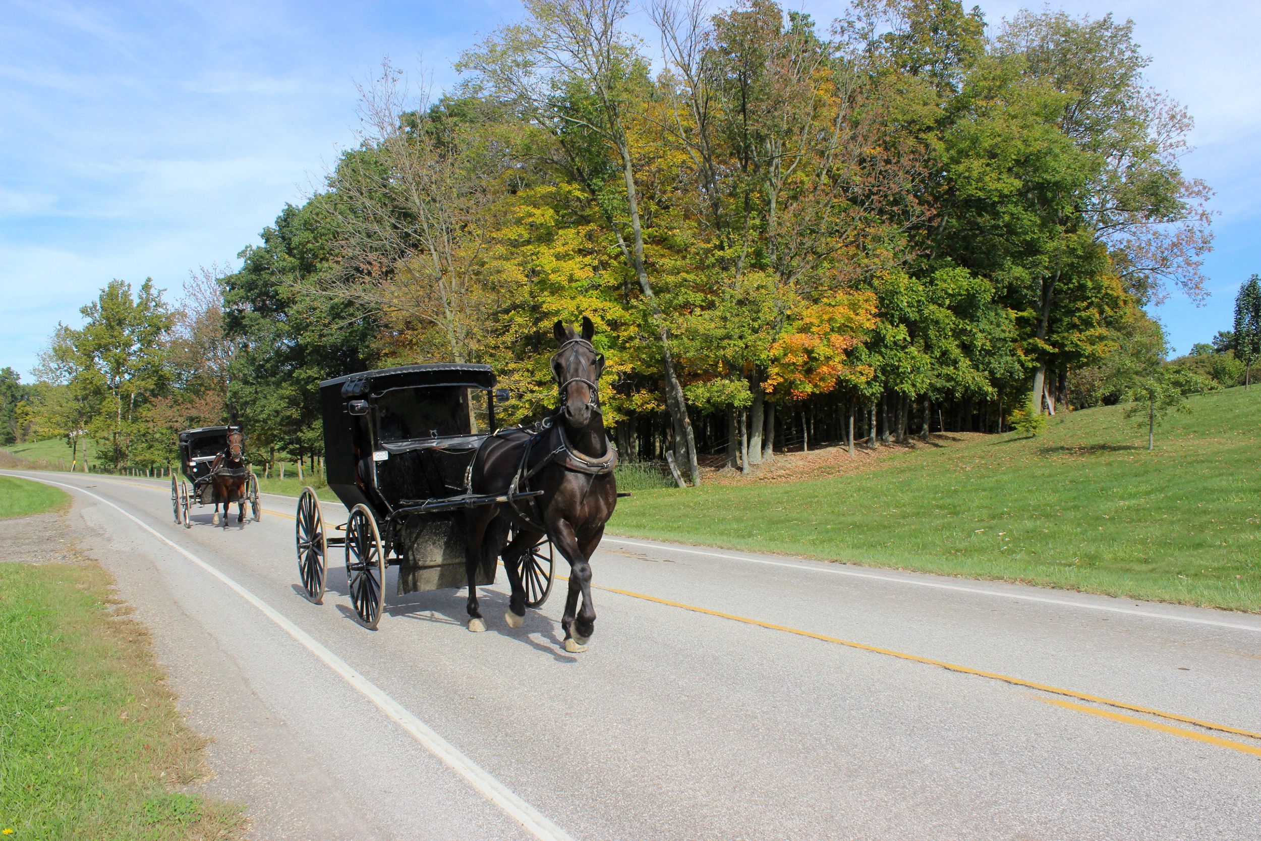 Amish Country, Ohio